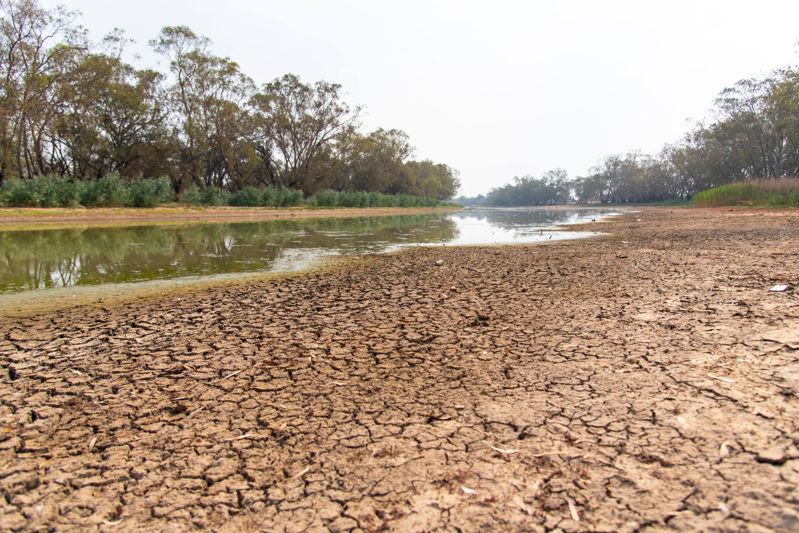 State of the Climate 2024: How is Australia faring?