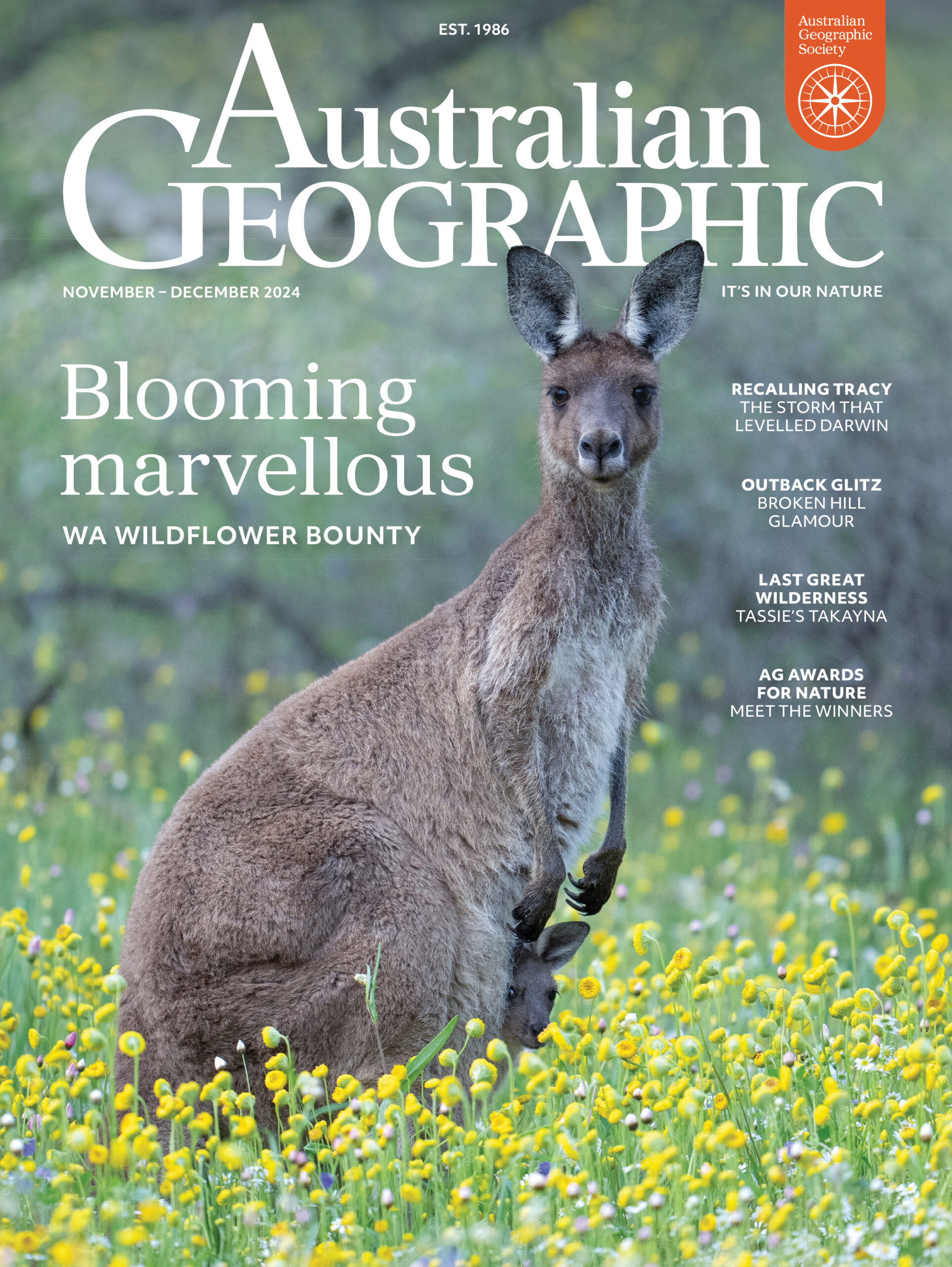 Subscription Image