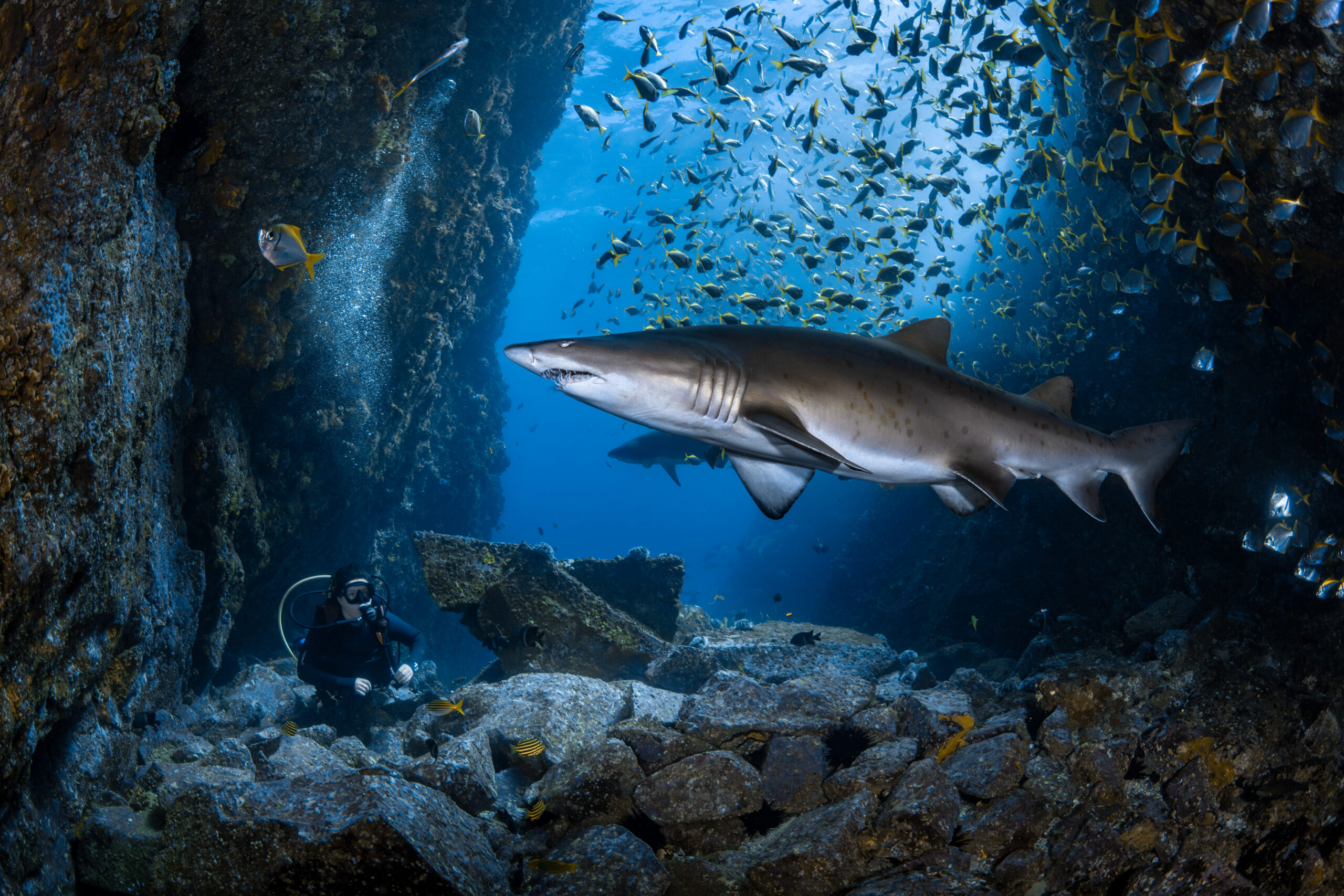 Underwater treasure