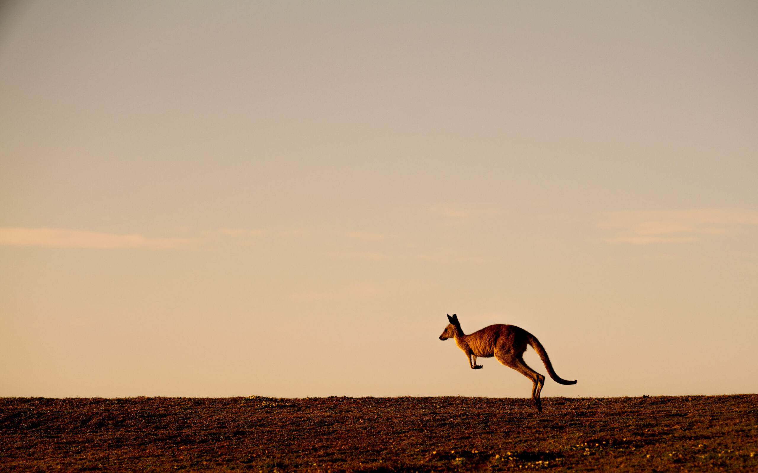 Leaps and bounds