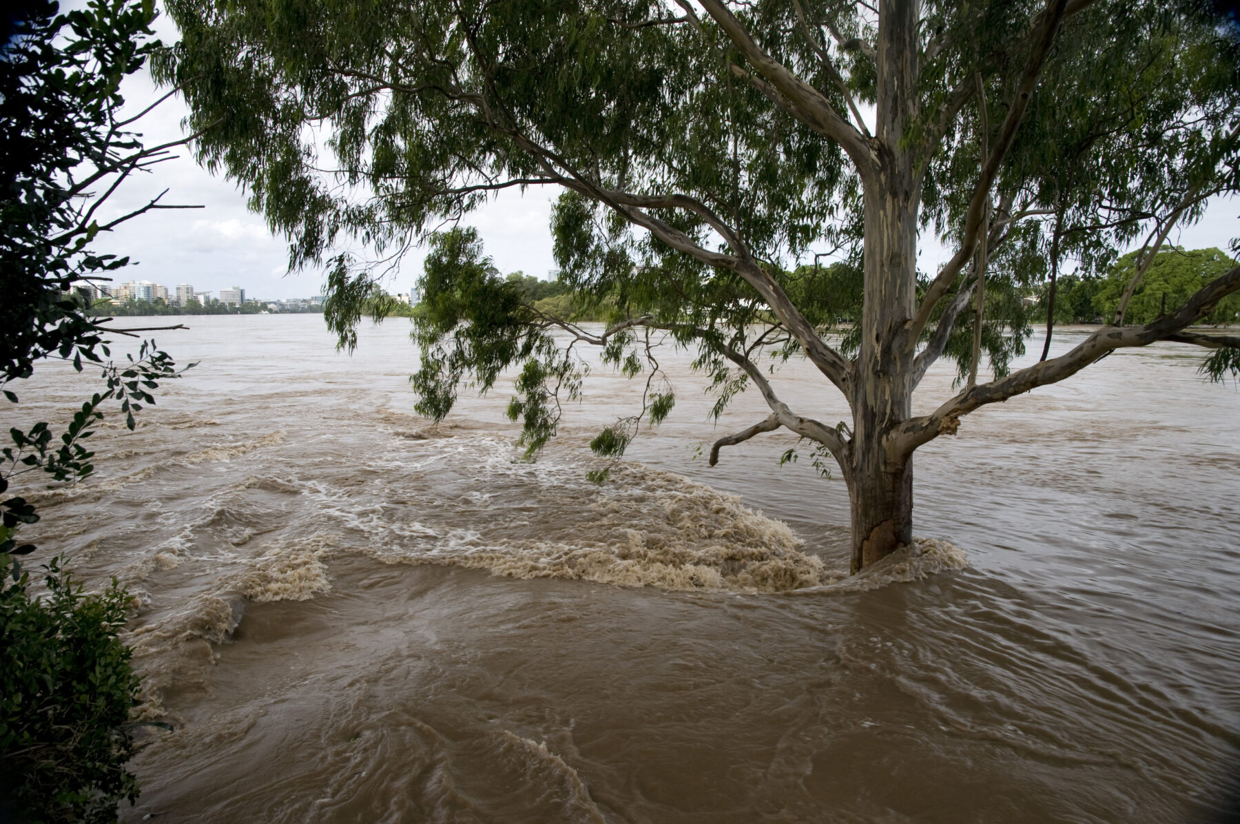 Flood