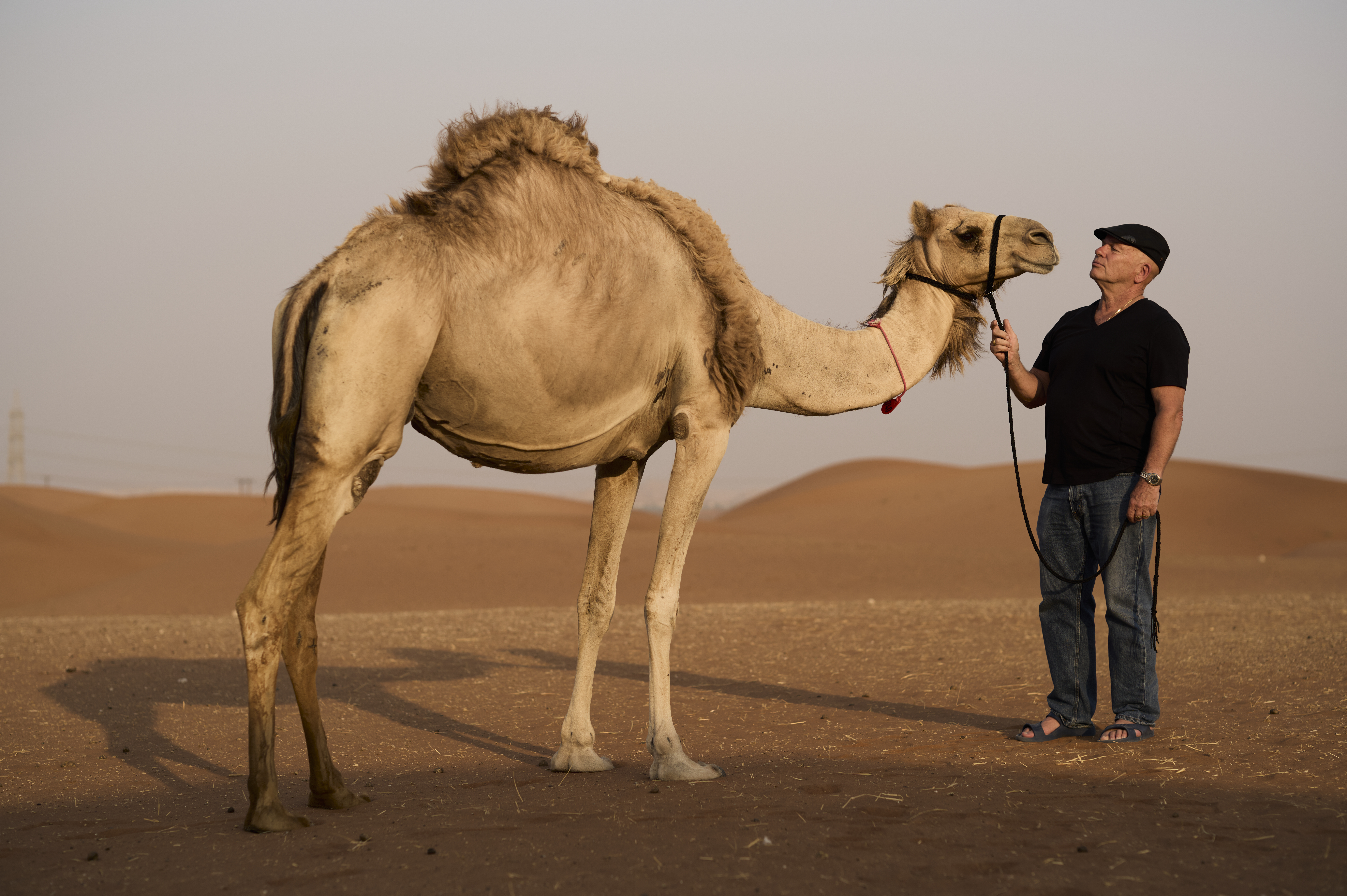 Dr Alex Tinson with a camel on red sand dunes
