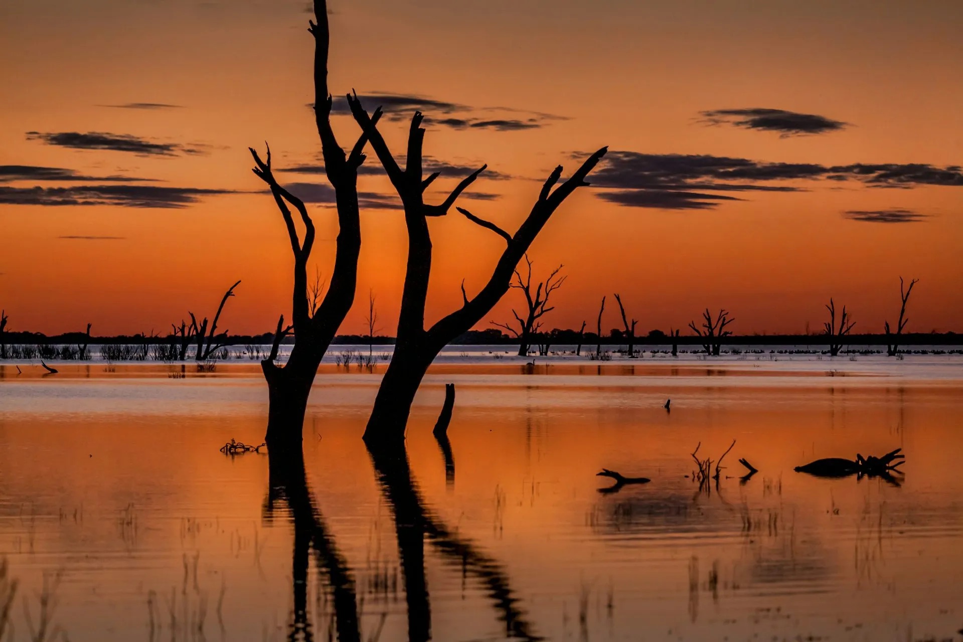 A $13 billion, 30-year flop: landmark report argues stark failure to halt Murray-Darling river system decline