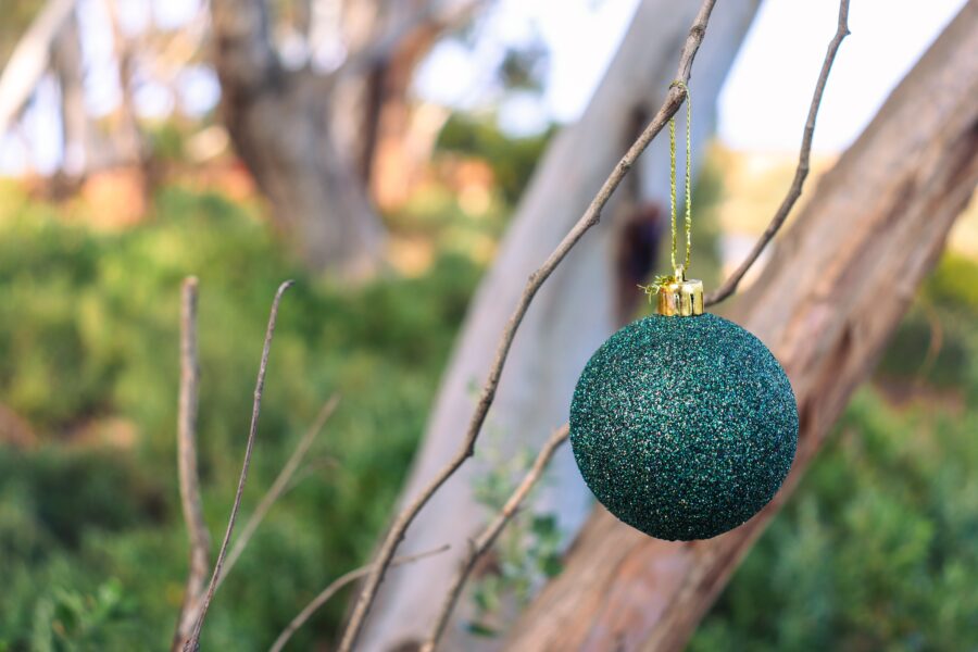 Christmas bauble ornament hung on a gum tree