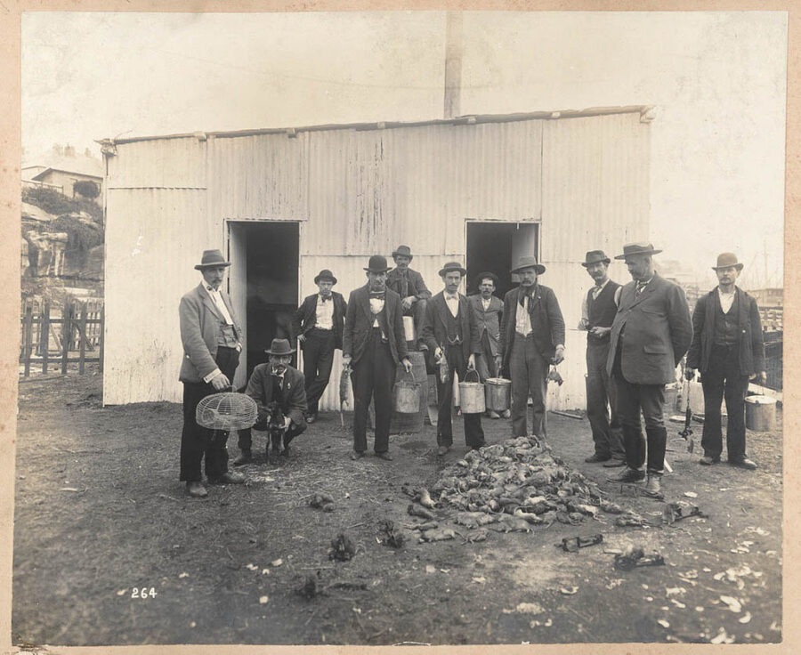 Professional ratcatchers pose for a photo