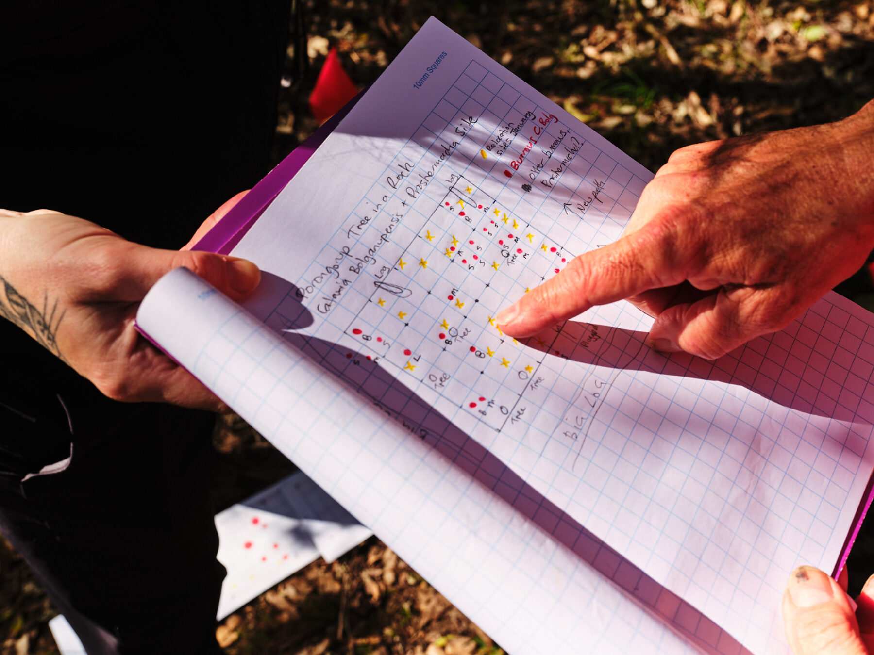 Notebook showing spider burrow sites