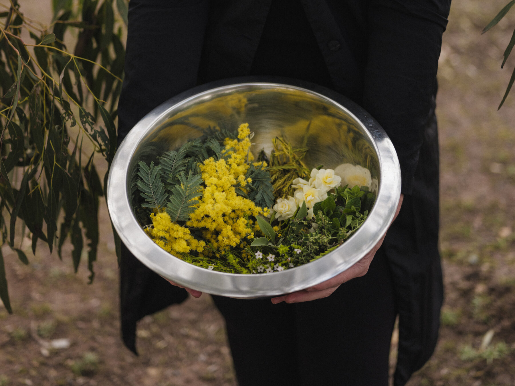 A collection of ingredients used to make Malano perfume