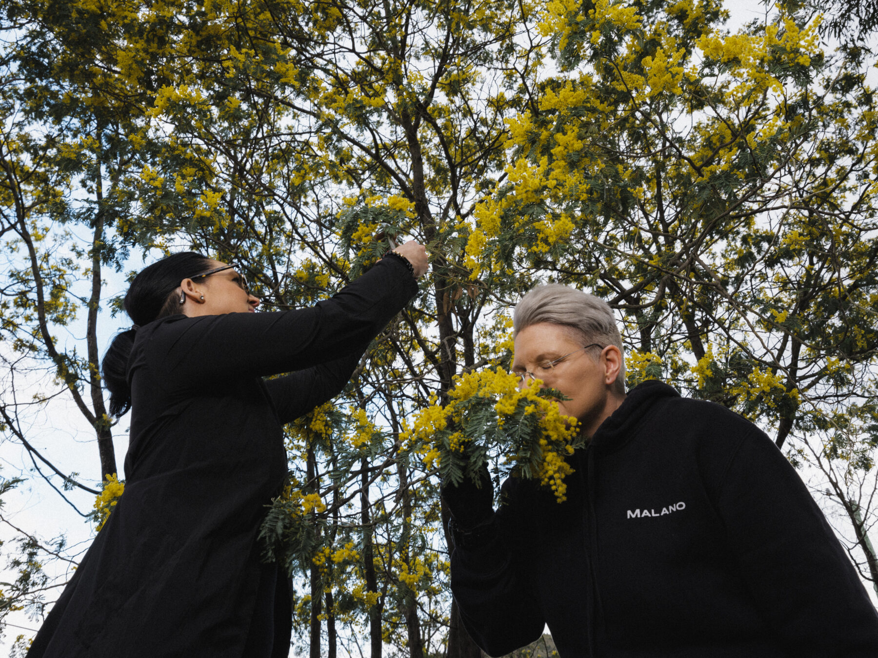 Masey takes a silver wattle clipping as Maryka takes in the flowers scent at their property in Honeywood, Tasmania