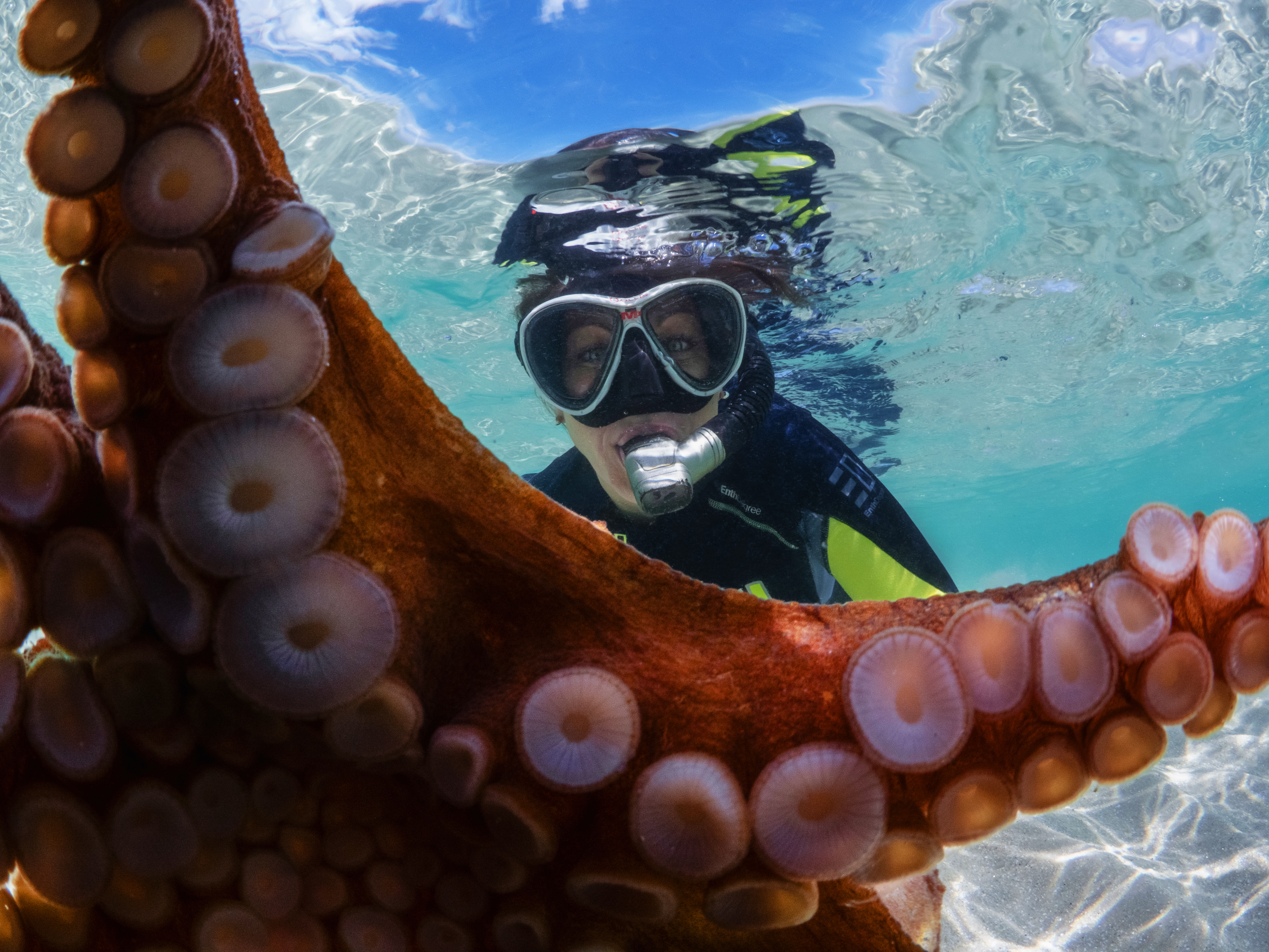 About the Australian Geographic Society