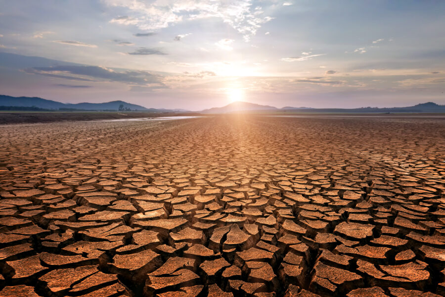 Dry cracked land