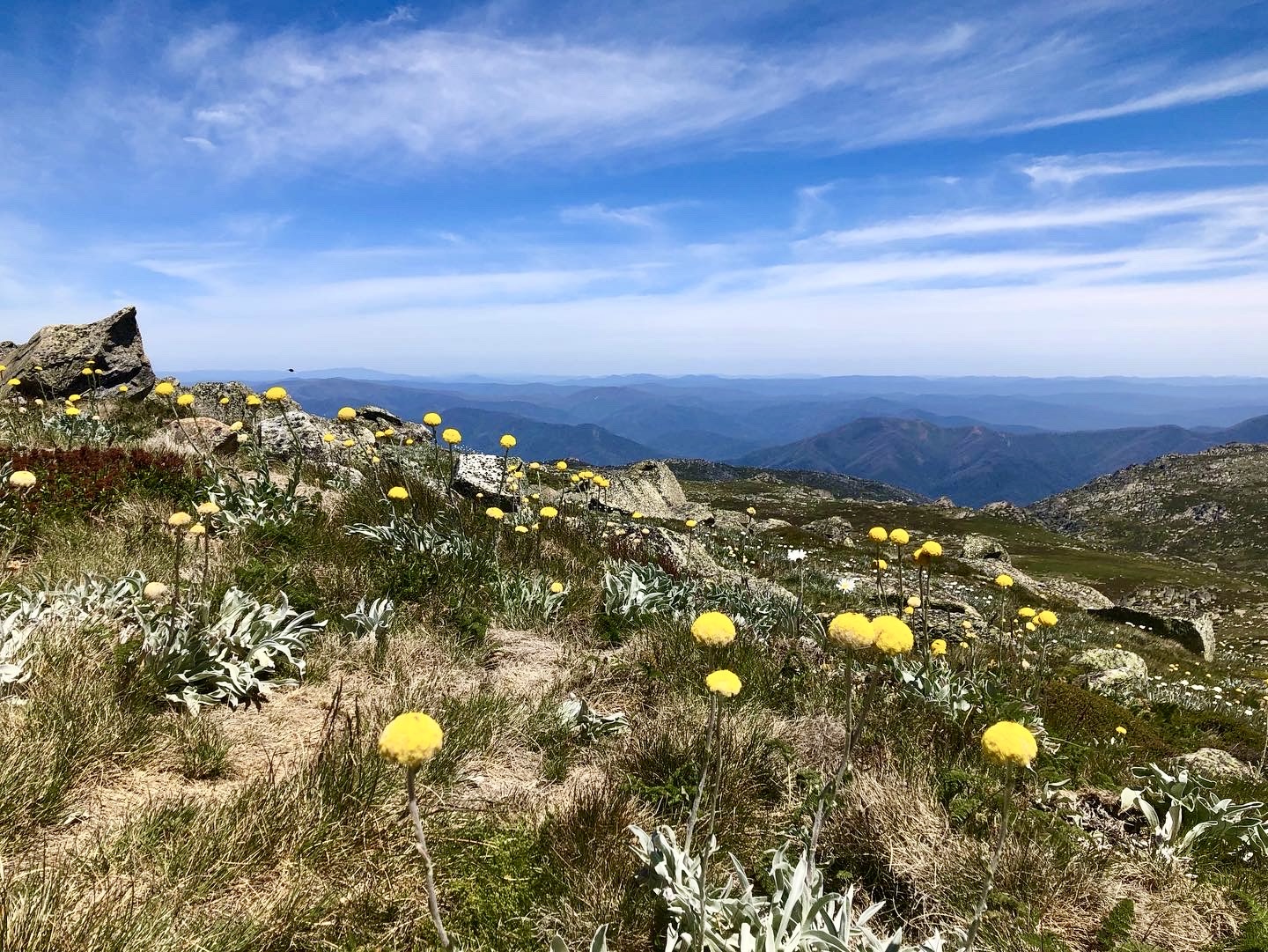 The Australian Alps’ colourful alter ego