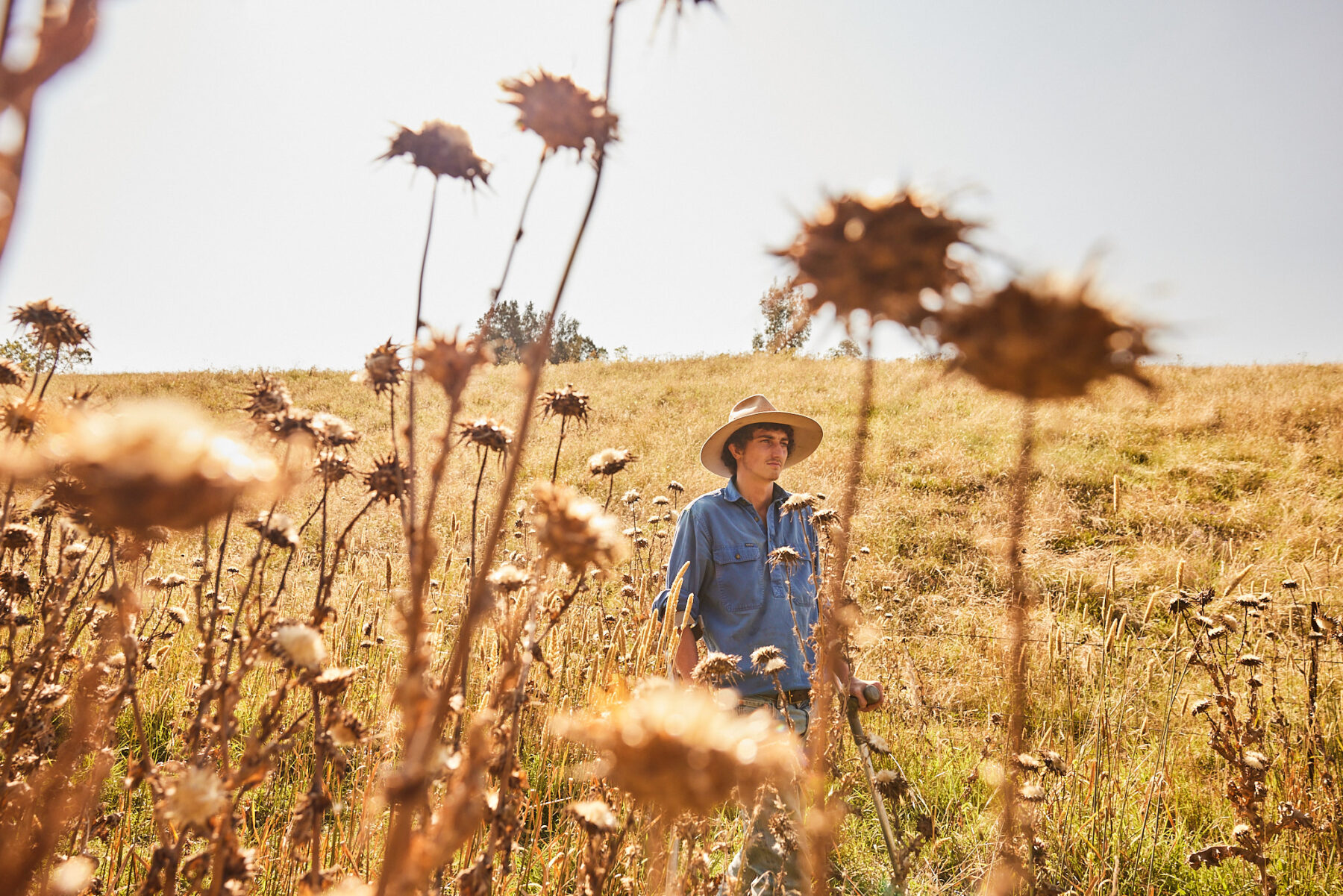 Marcus Dadd on the family farm