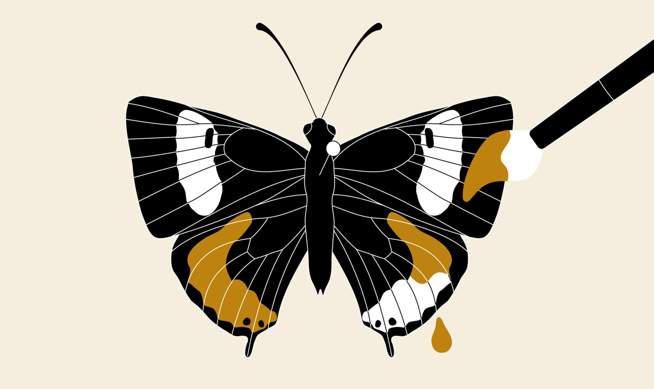 Image for article: The tale of a butterfly heist and a taxonomic side-quest
