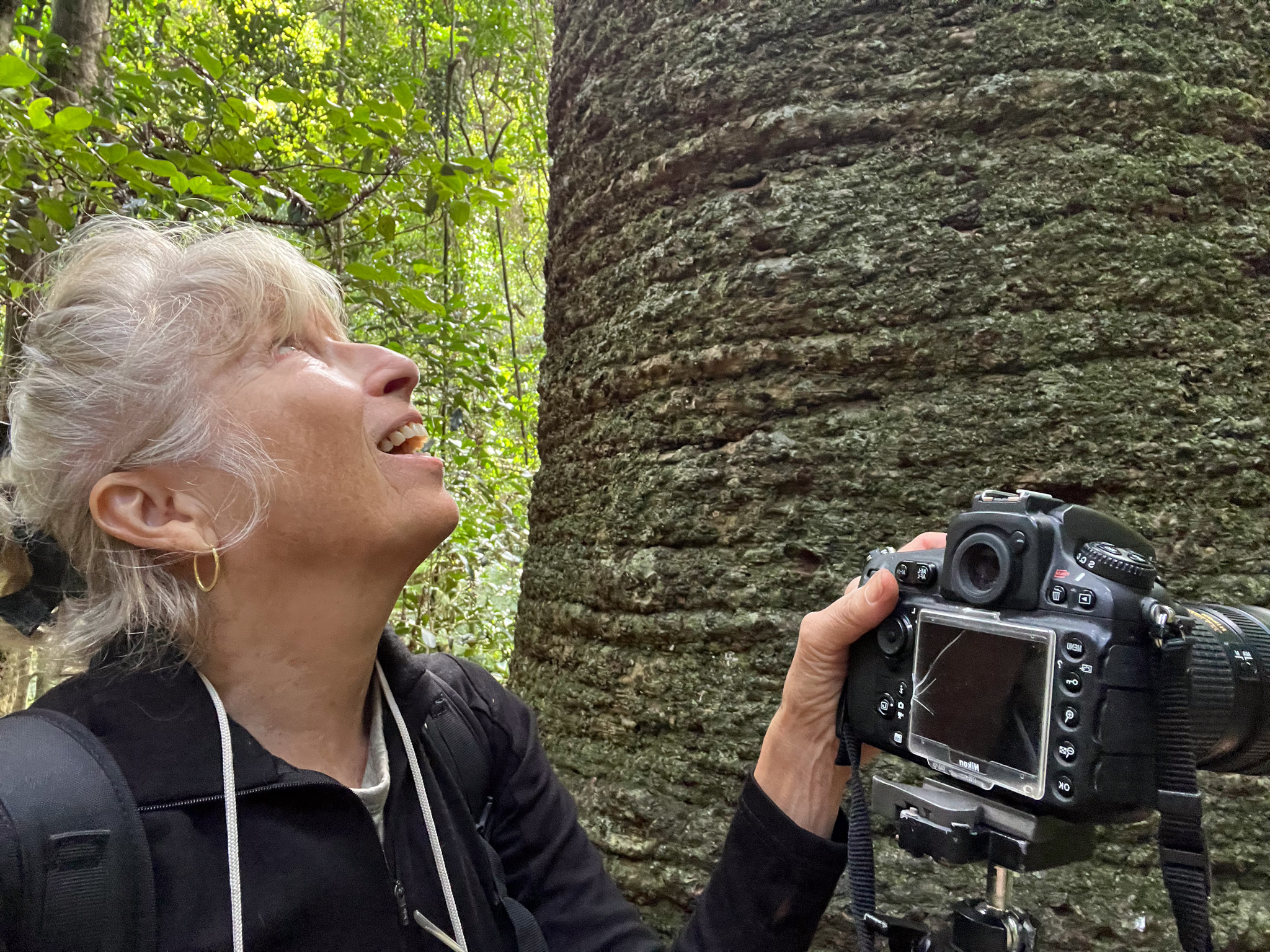Image for article: Notes from the field: Tall tales