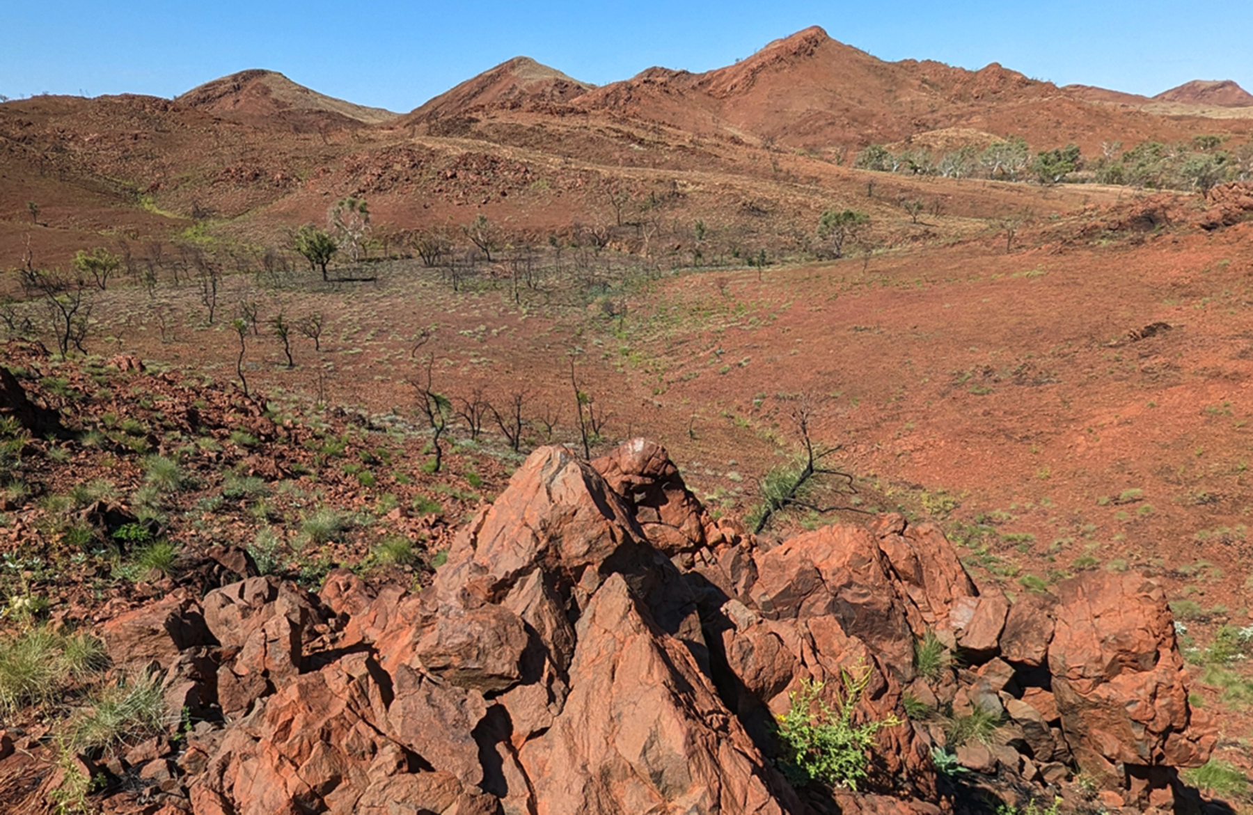 Image for article: Earth’s oldest meteorite crater found in outback WA