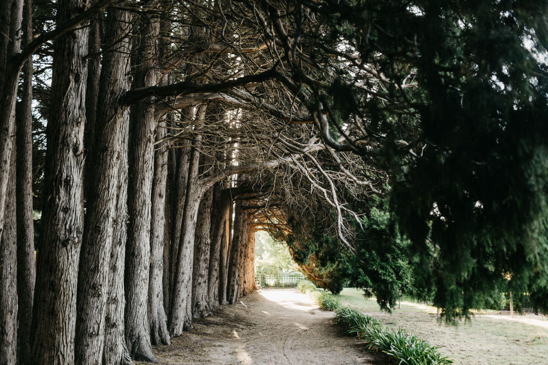 Coombe Yarra Valley