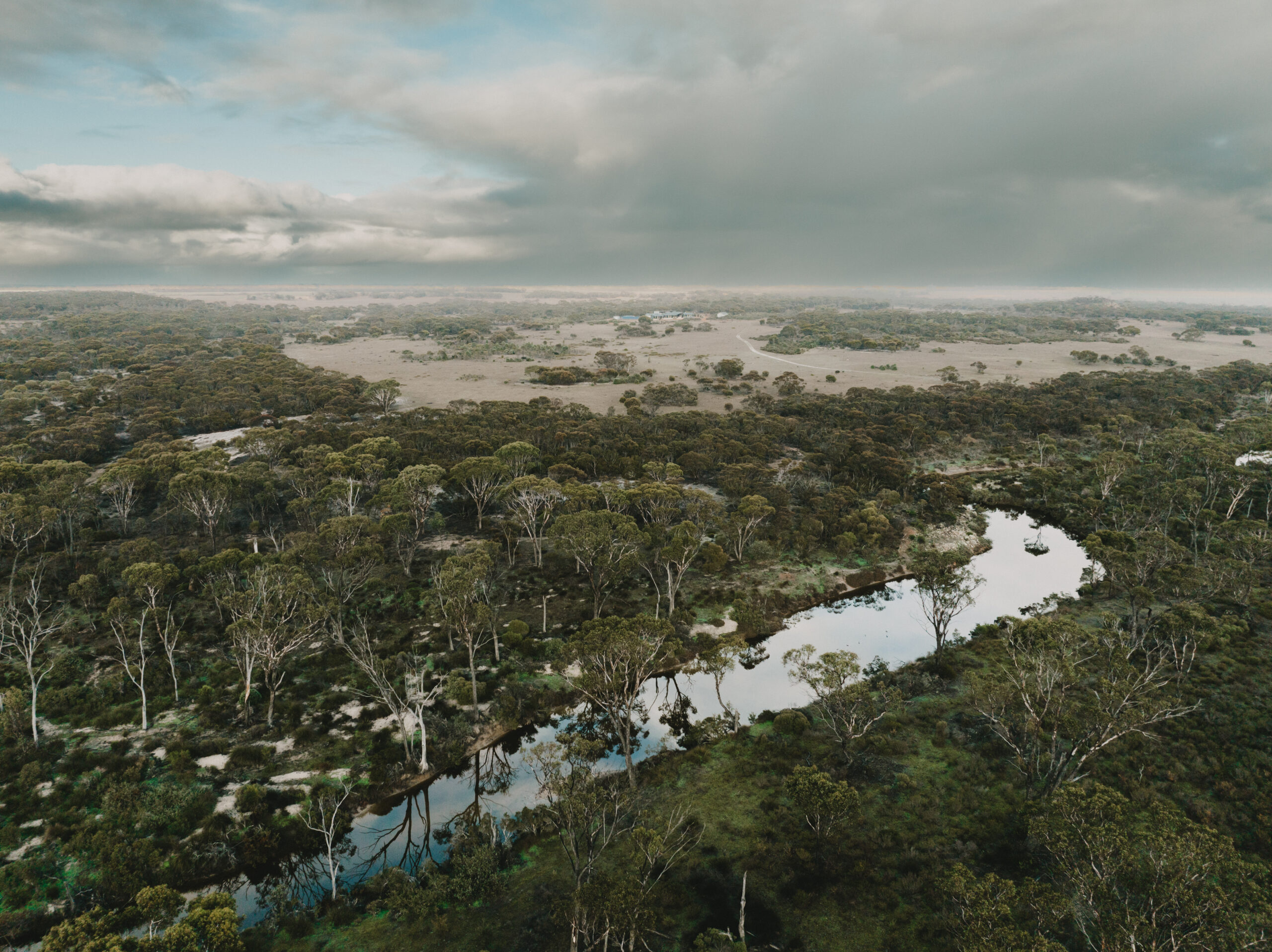 Big bush corridor