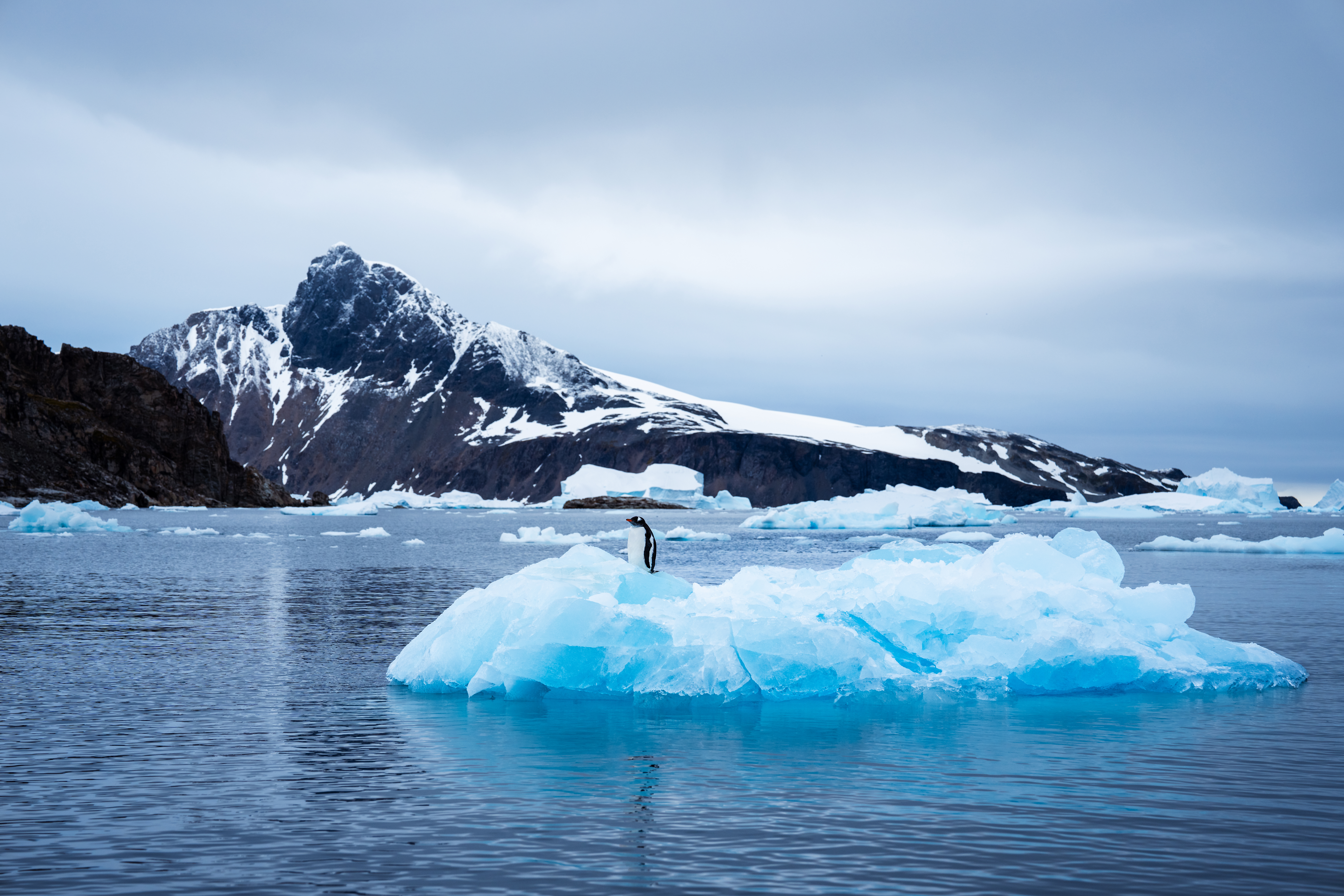 Image for article: New purpose-built small ship embodies Mawson’s pioneering spirit