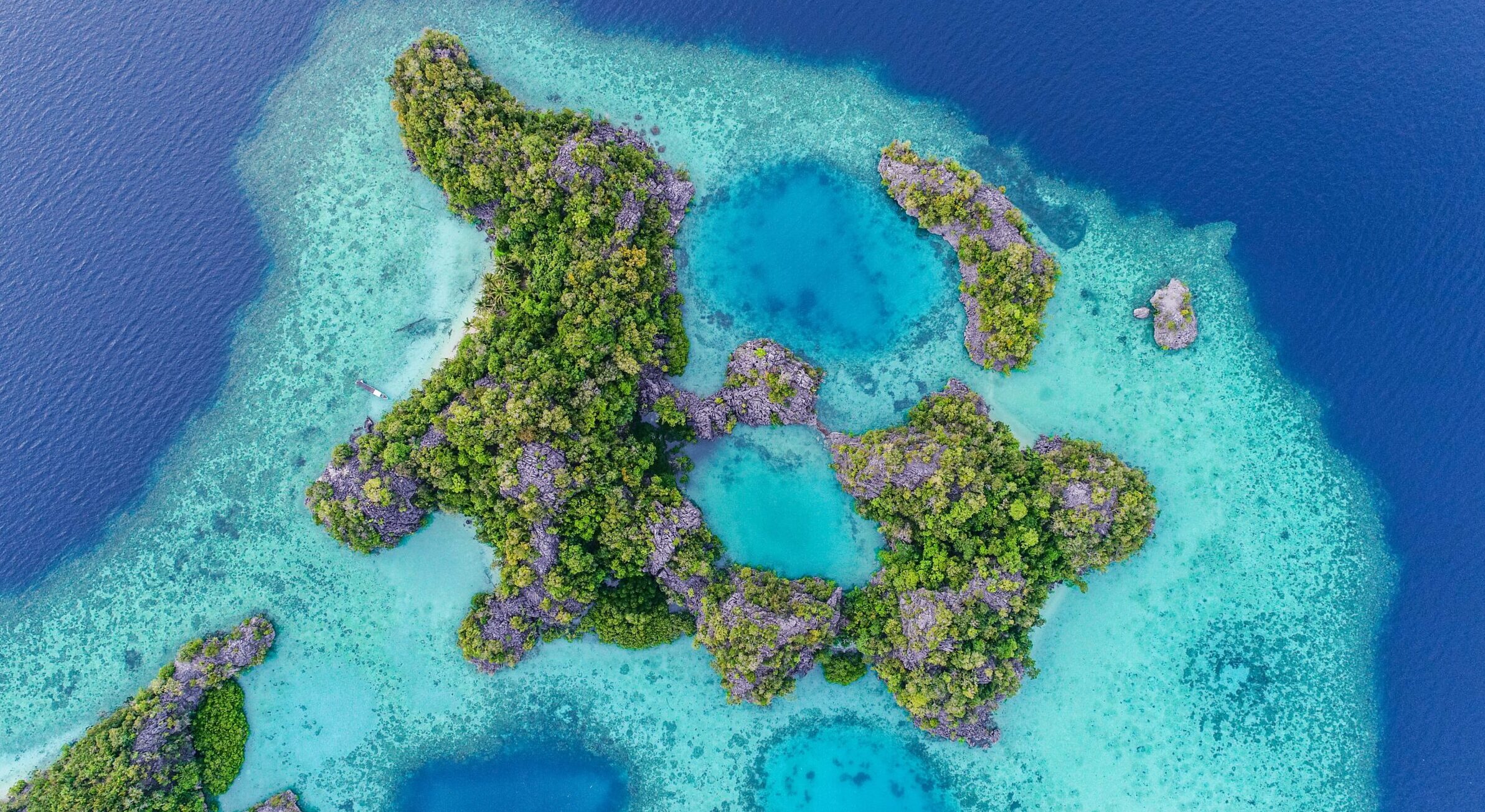 Image for article: The Australian woman fighting to restore the world’s most biodiverse reef