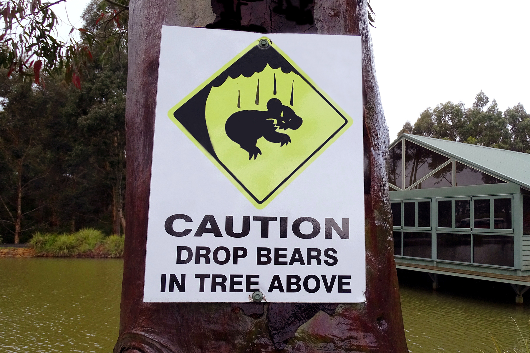 Warning sign advising drop bears in the area
