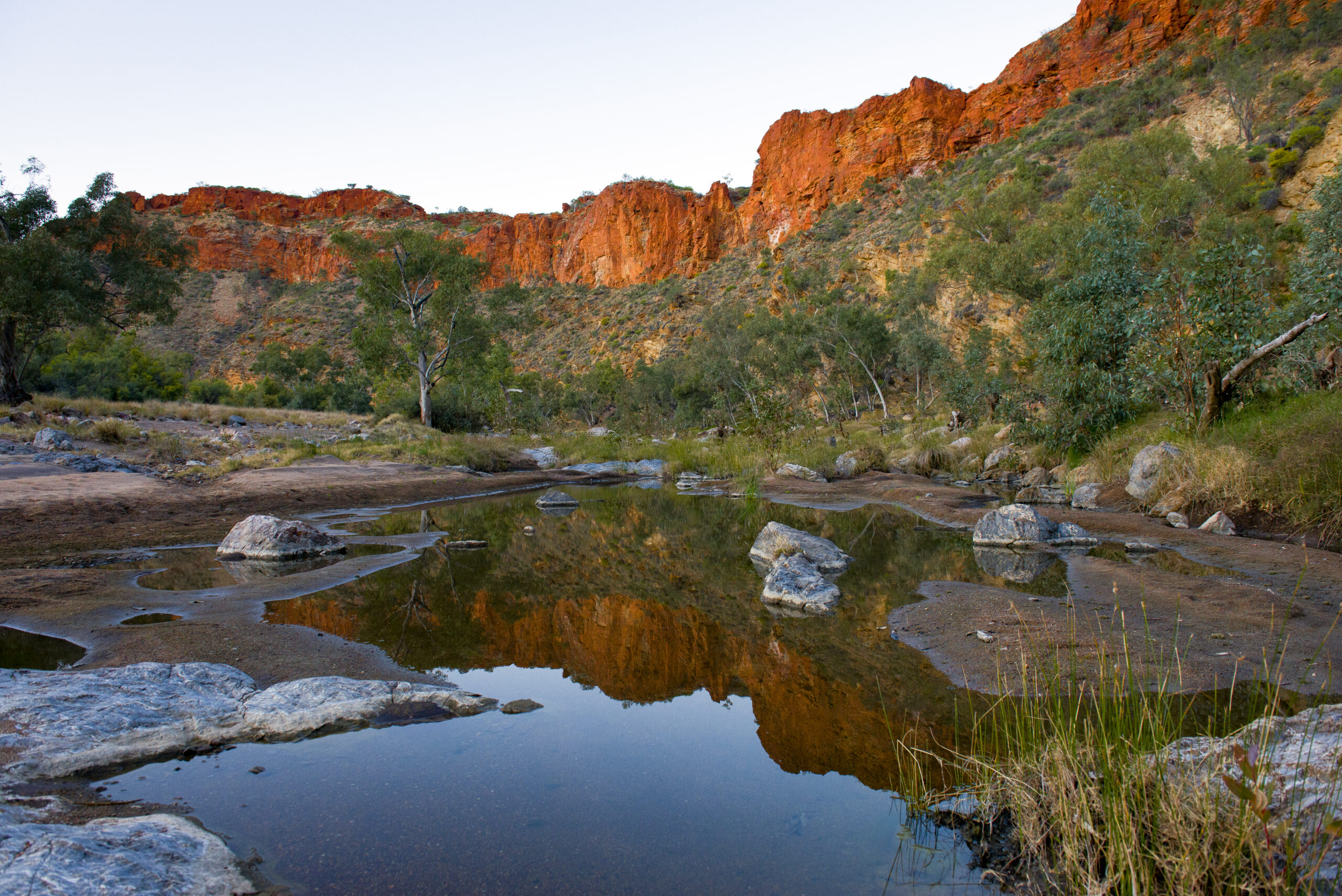 Image for article: Reforms passed to Australia’s decades-old nature laws