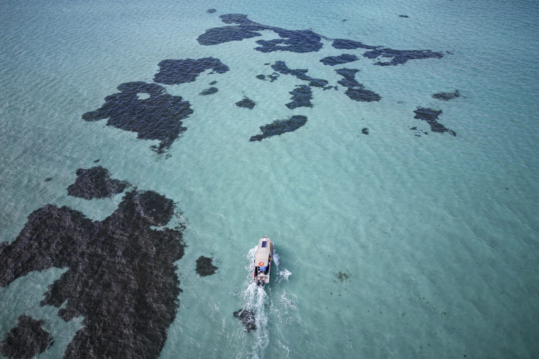 Tidal Moon divers sail into Shark Bay