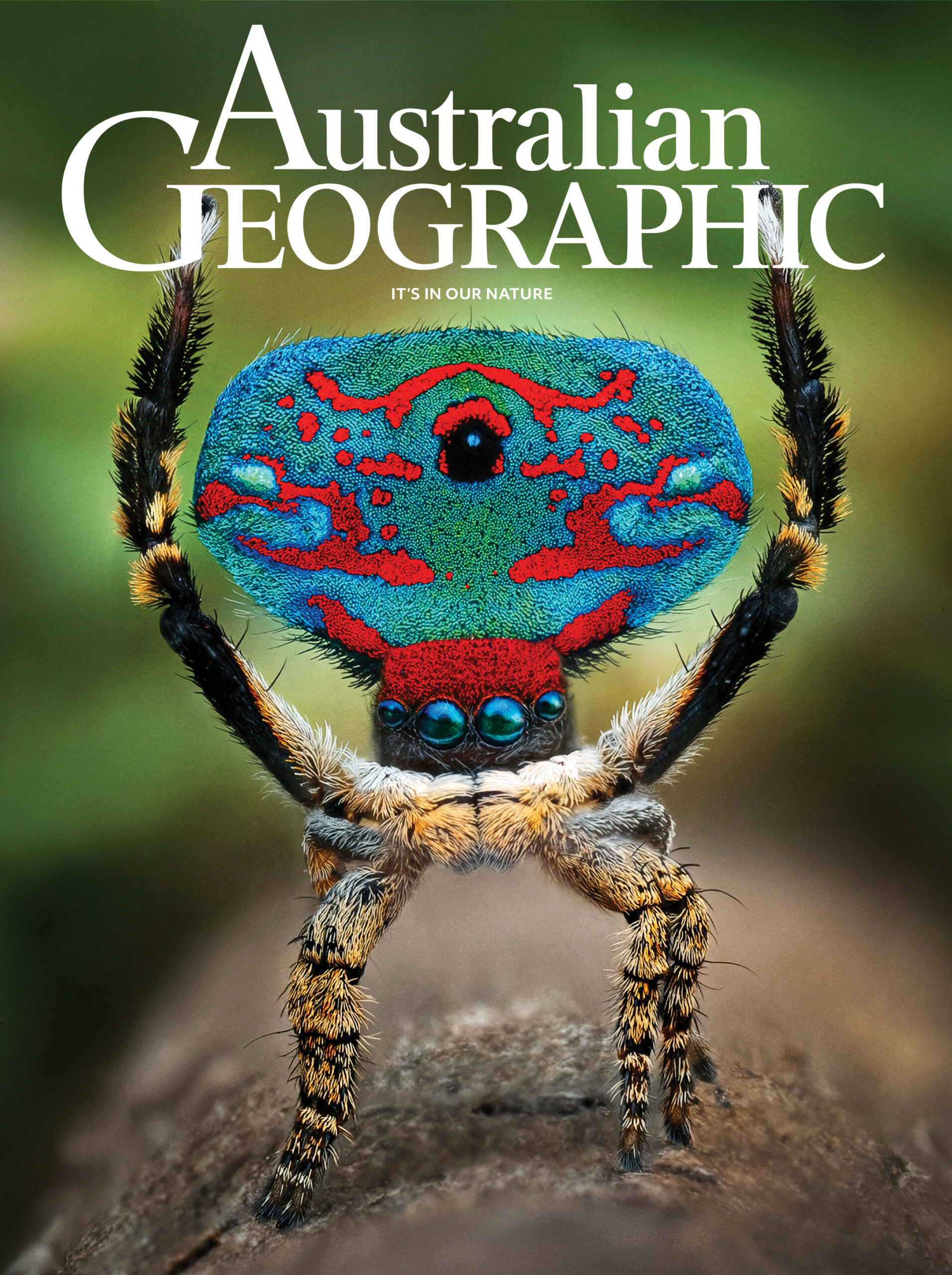 Shop australian geographic
