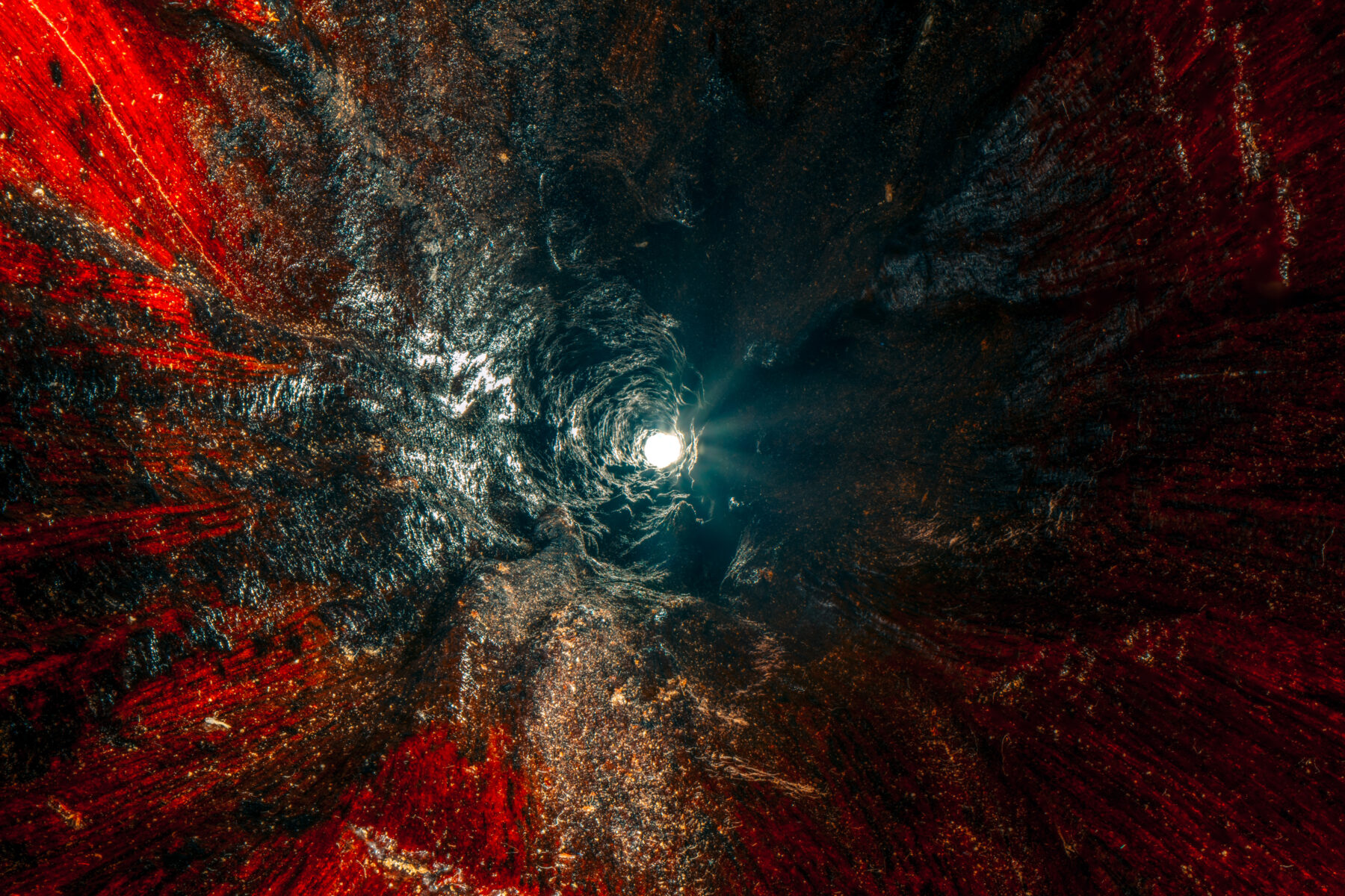 The patterns inside
a yidaki (a didgeridoo)