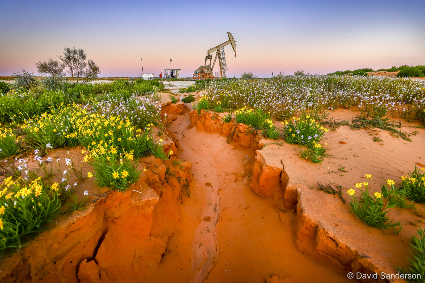 Oilfields in Bloom: A Paradox of Progress by Dave Sanderson