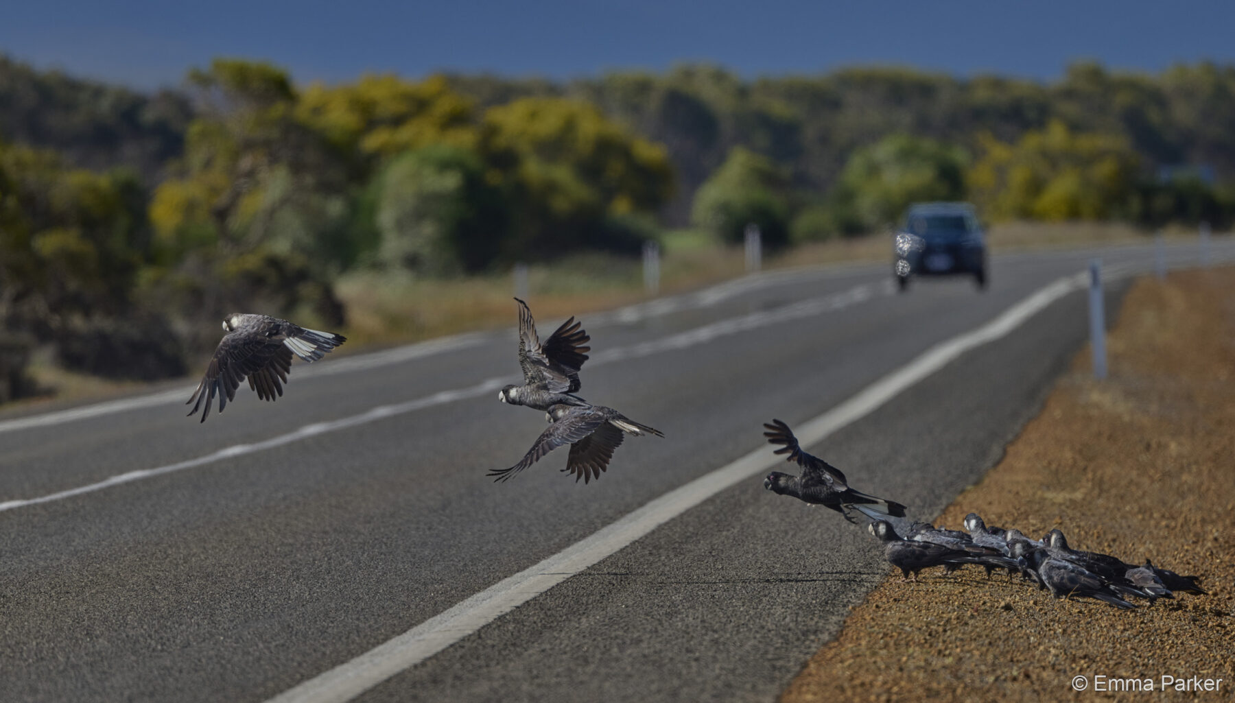 Reduce Speed Now by Emma Parker
