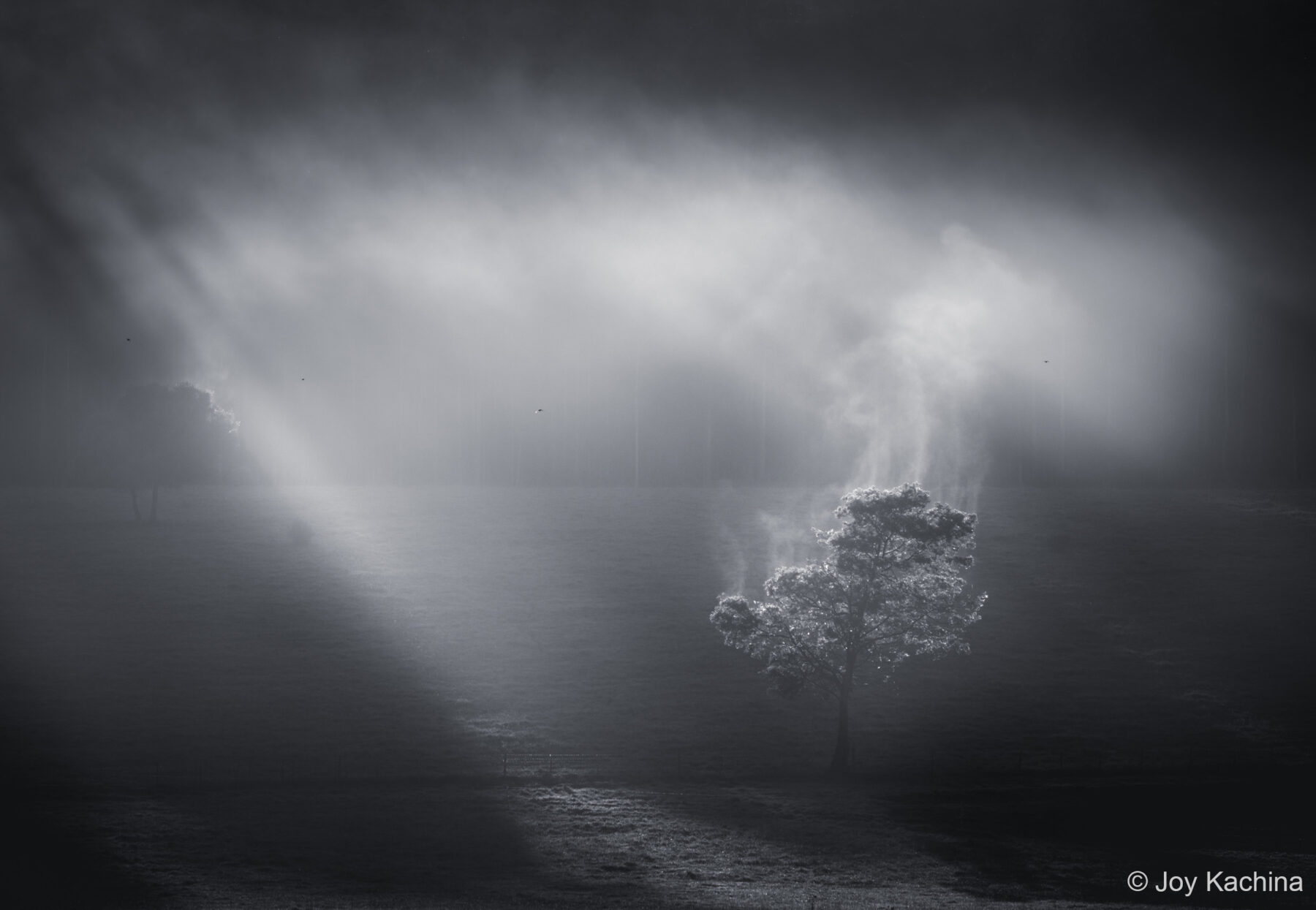 Transpiration by Joy Kachina