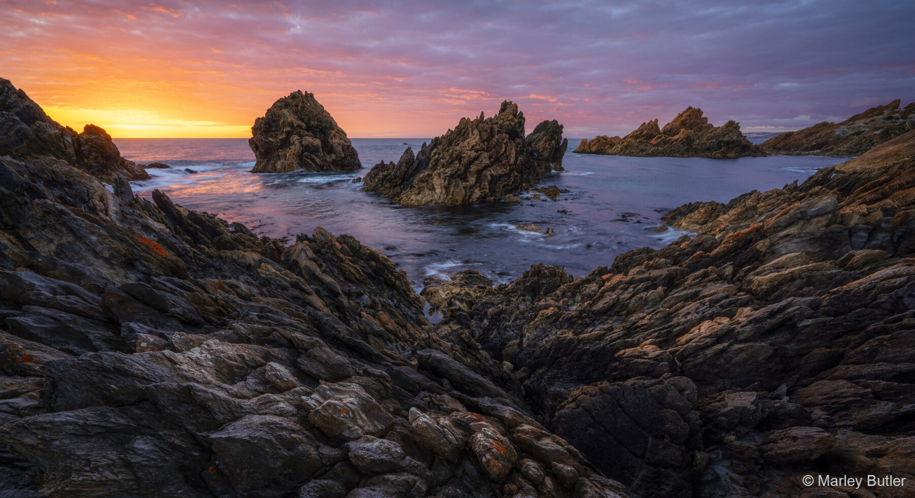 The Shrine of Tarkine by Marley Butler