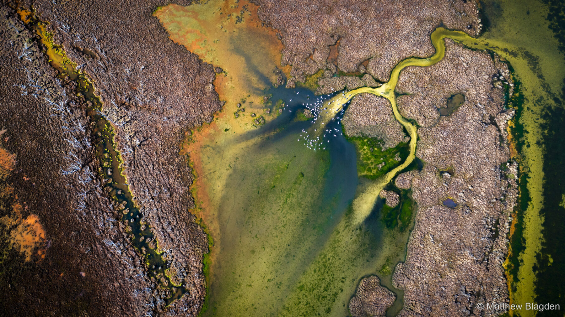 Cleaner Waters by Matthew Blagden