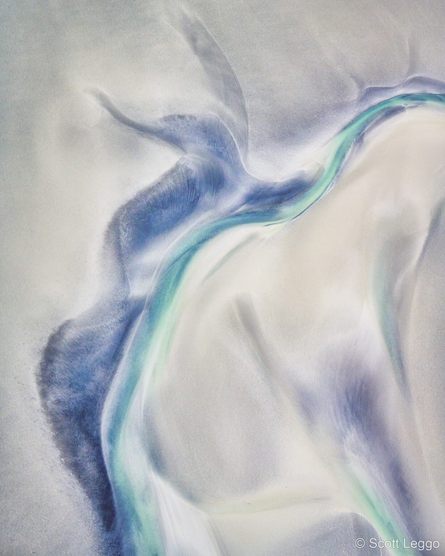 Tidal Orchid by Scott Leggo