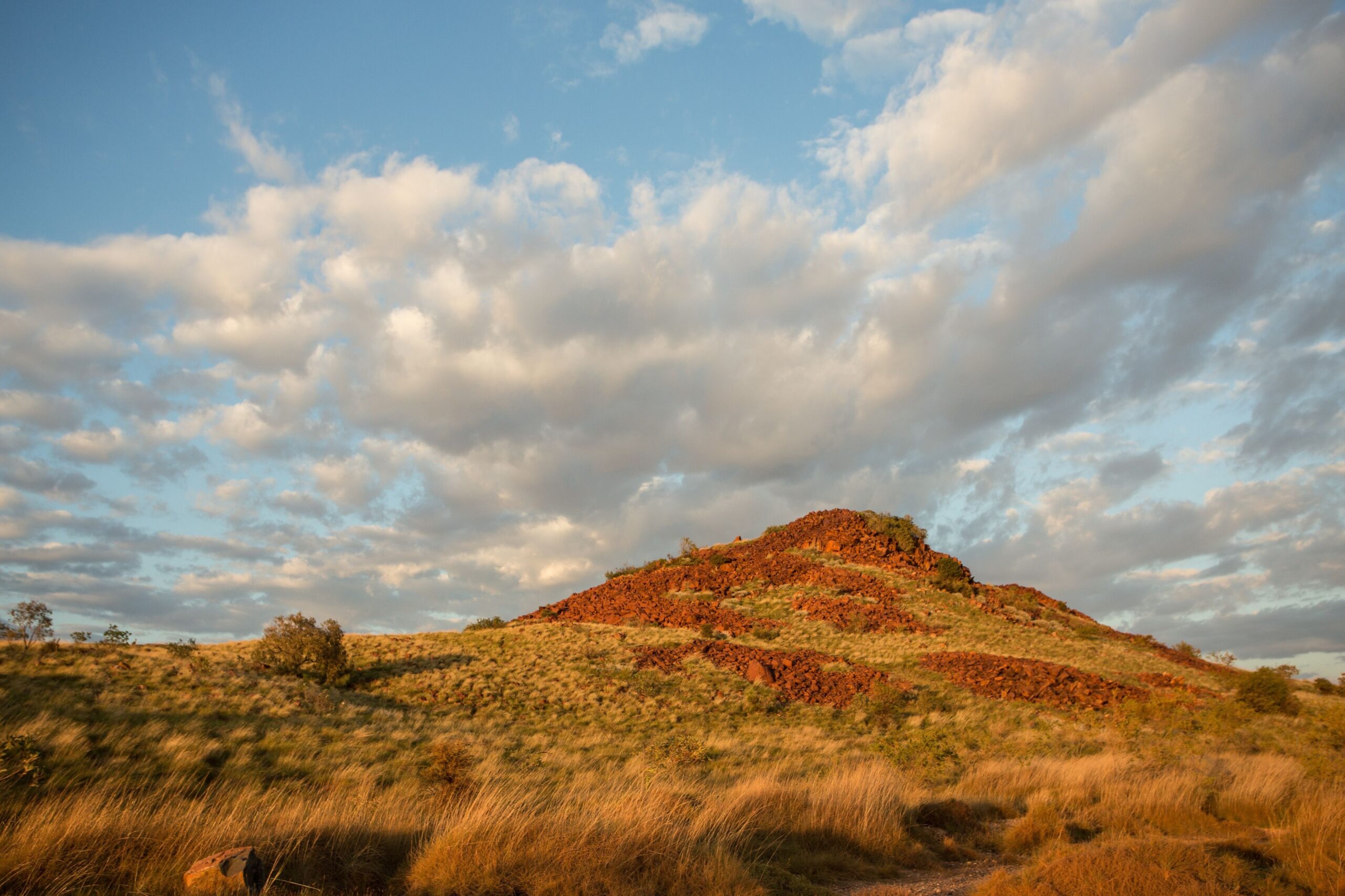 Image for article: ‘Tears of joy’ in Paris for Australia’s latest World Heritage site