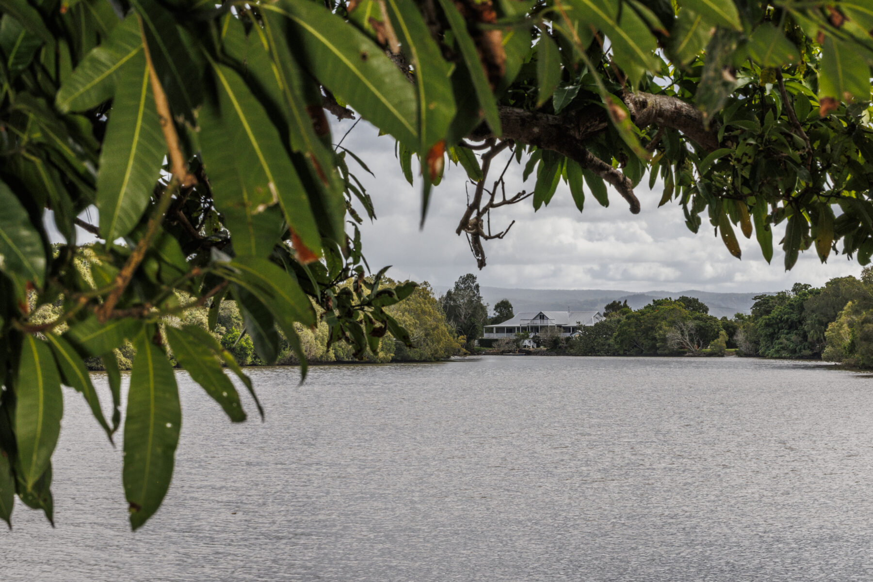 The Maroochy River