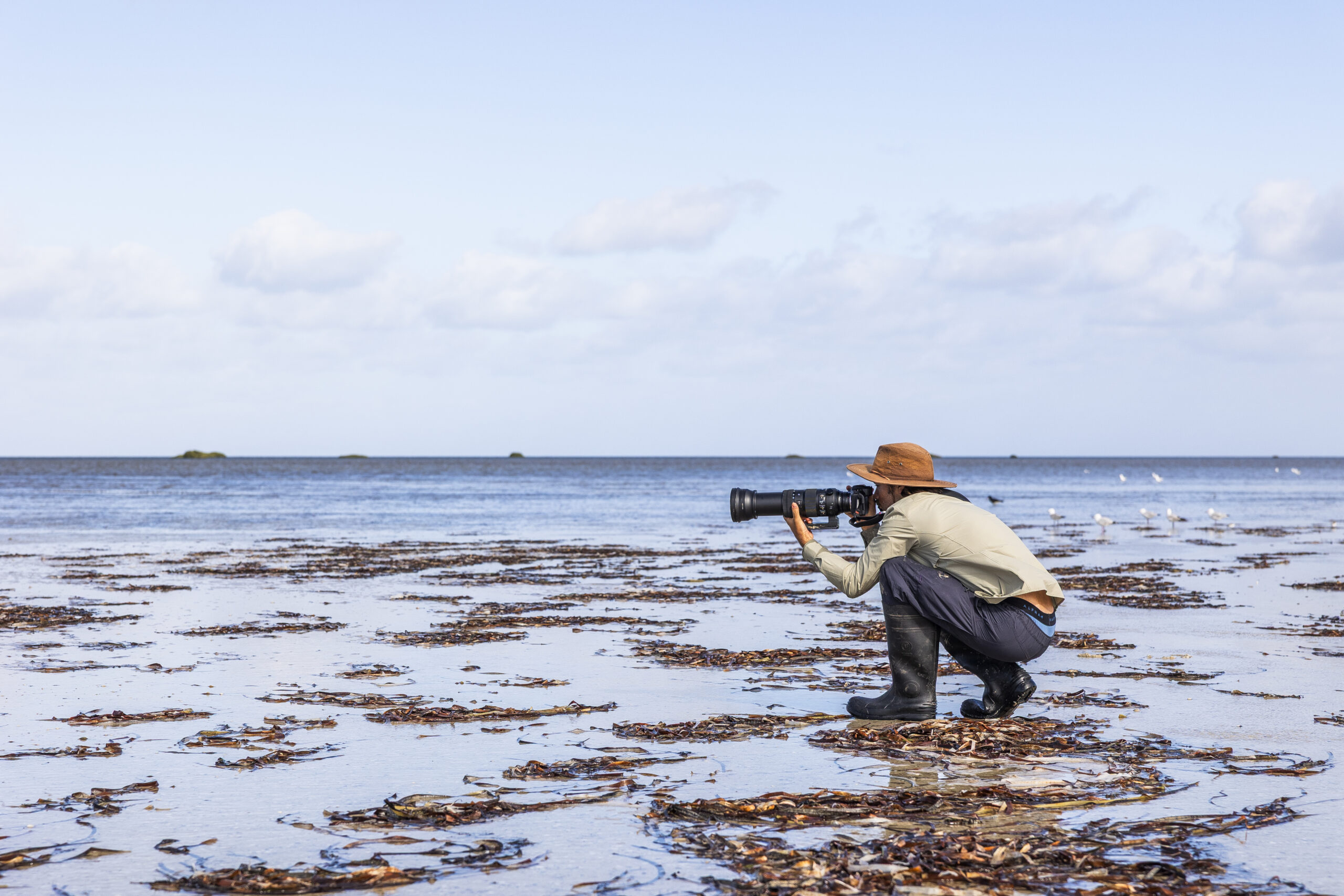 Image for article: Notes from the field: Of mangroves and mudflats 