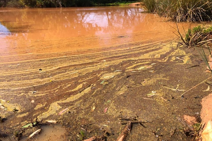 Kirkalocka oil spill