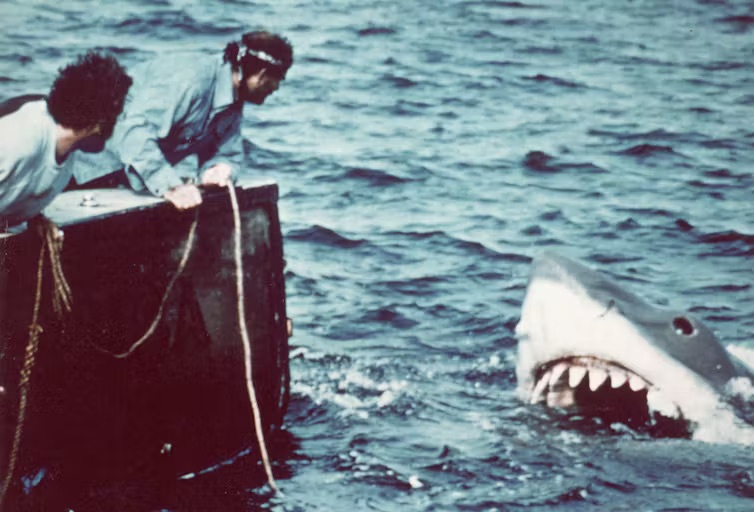 Image for article: 50 years after ‘Jaws’ the man-eater myth has been retired