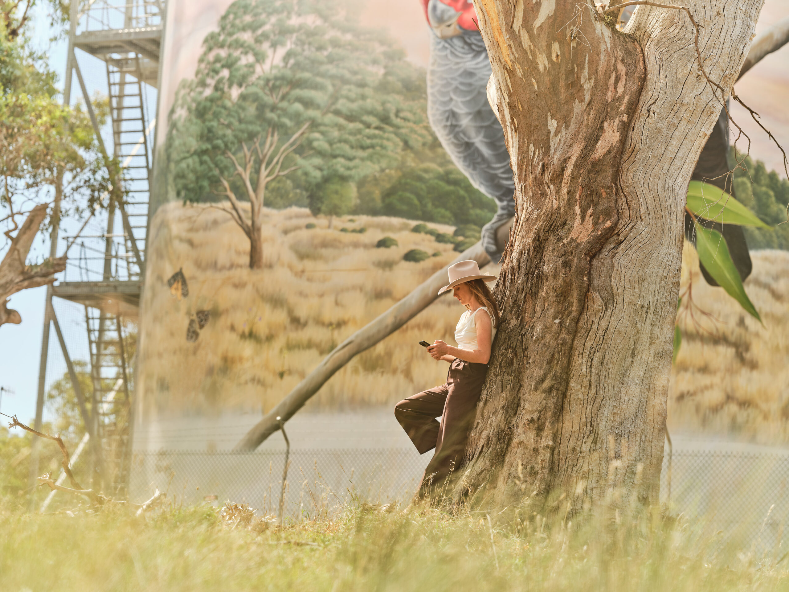 Image for article: Regional innovations: Establishing a connection
