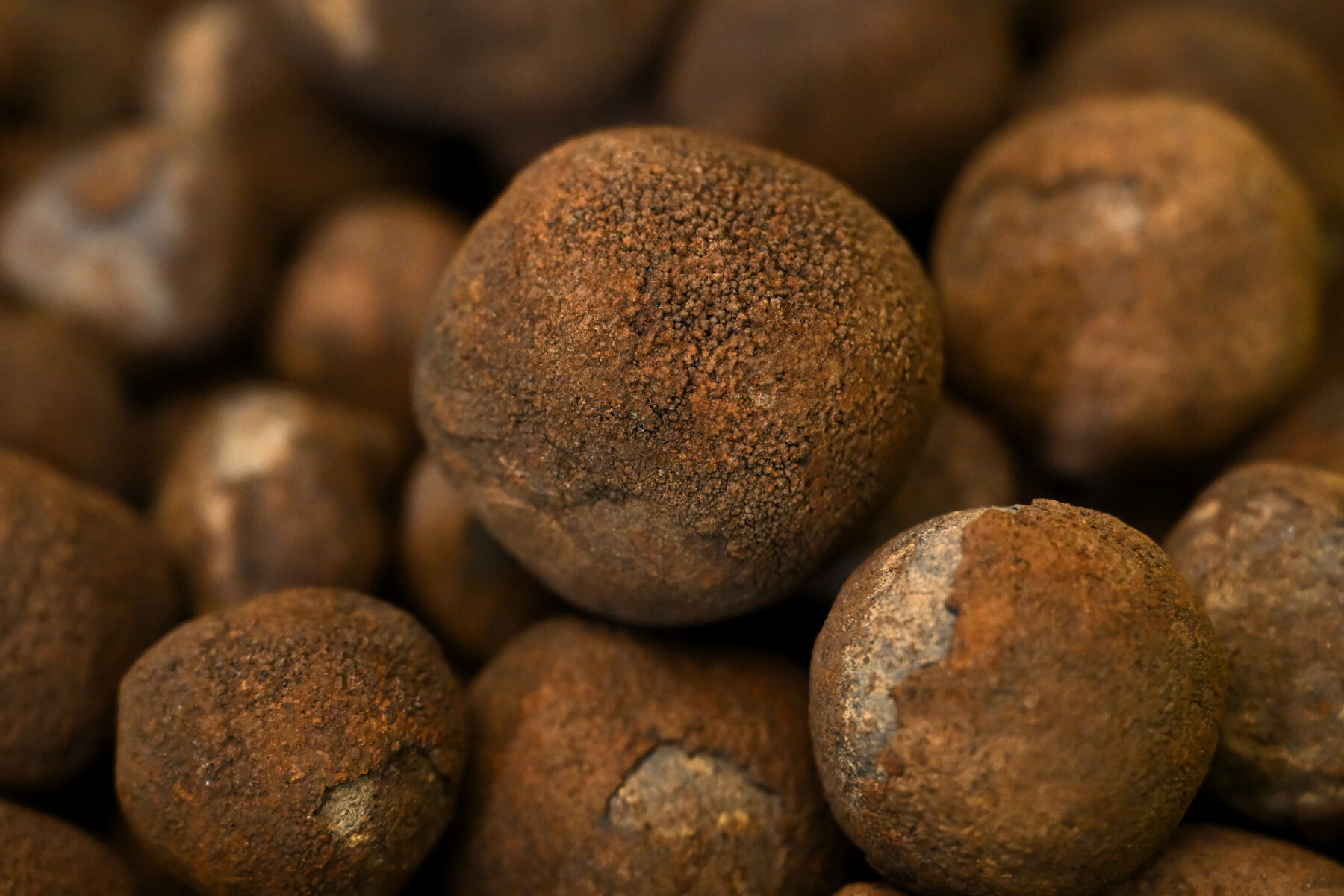 Polymetallic nodules