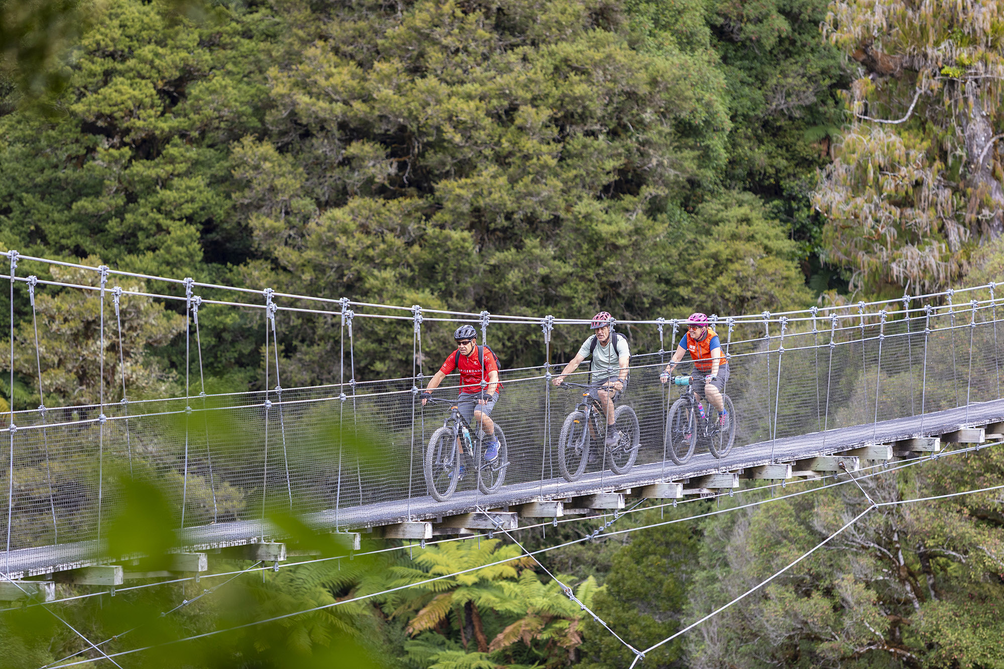 Image for article: A slice of heaven: A mountain bike road trip in NZ’s North Island