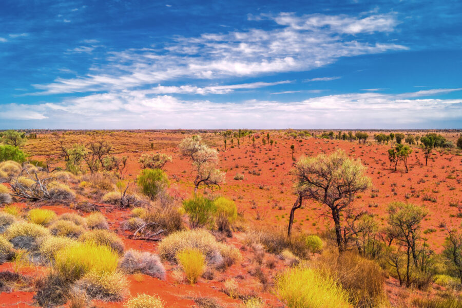 Outback landscape