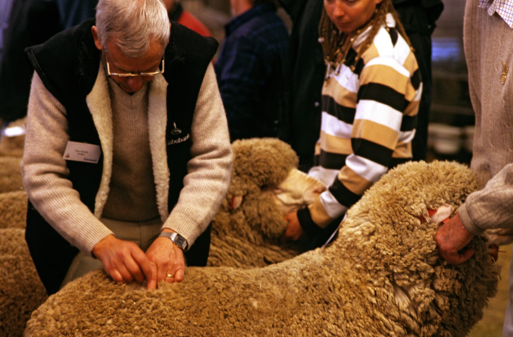 Campbell Town Show