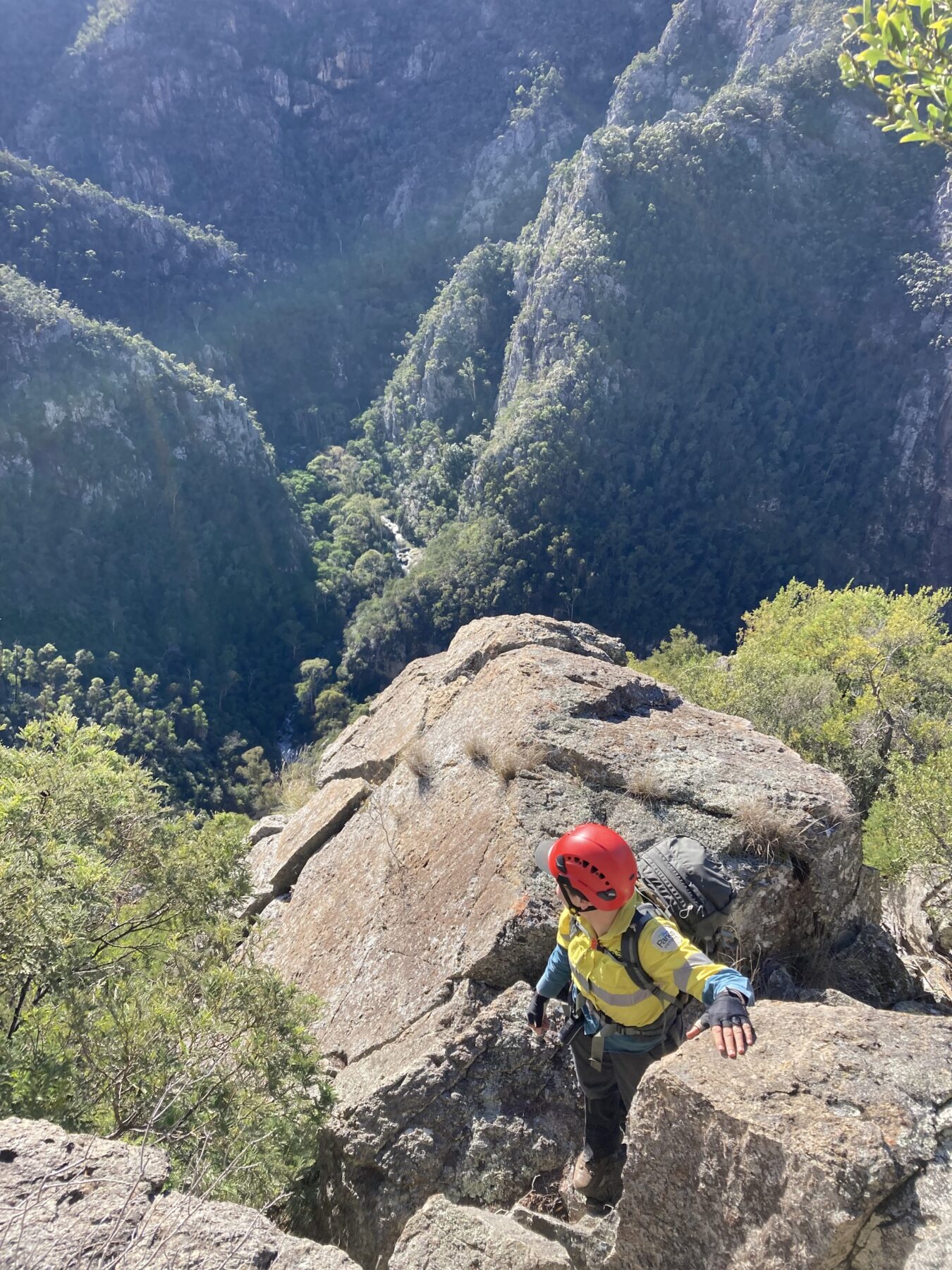 Rangers transporting brush-tailed rock-wallabies in backpacks