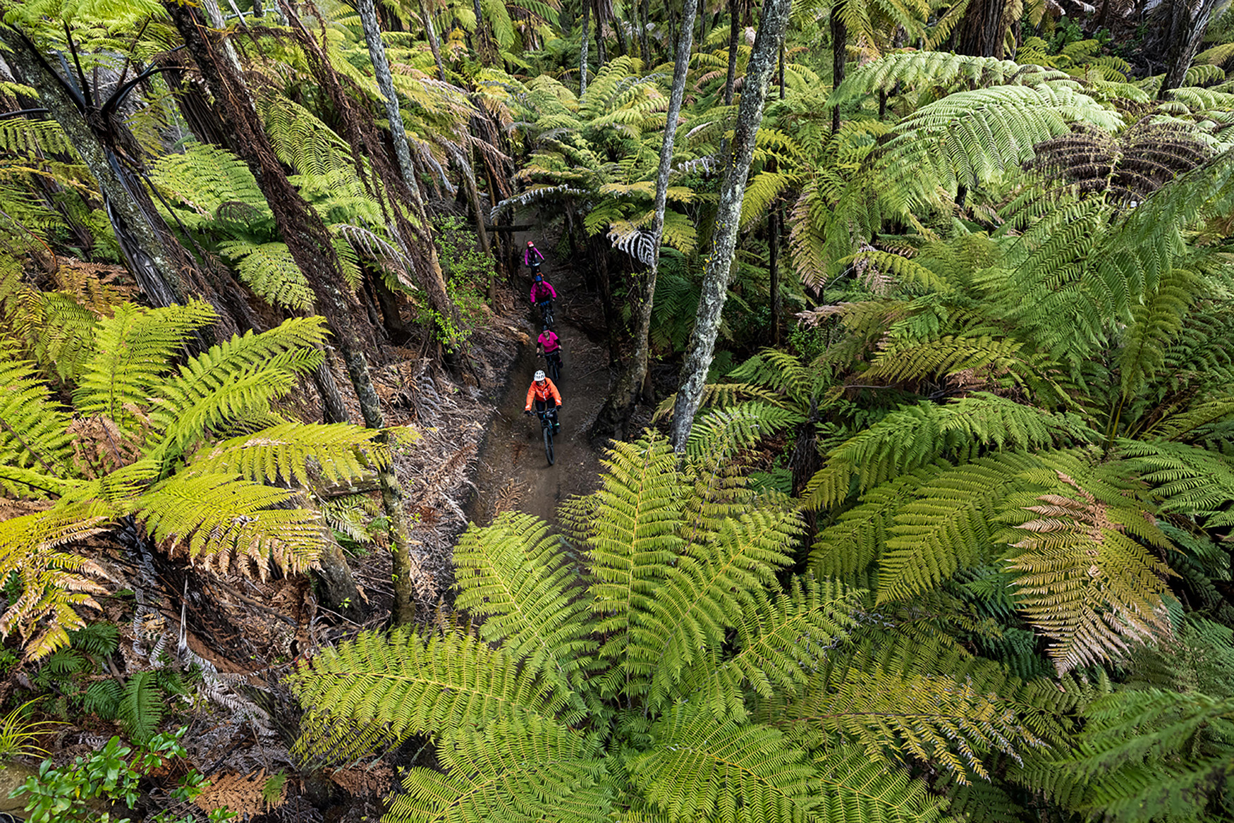 Image for article: Pedal perfection: The best of New Zealand in six epic bike rides