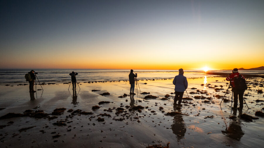 Photographers line up to catch a sunrise on the Takayna / Tarkine coastline