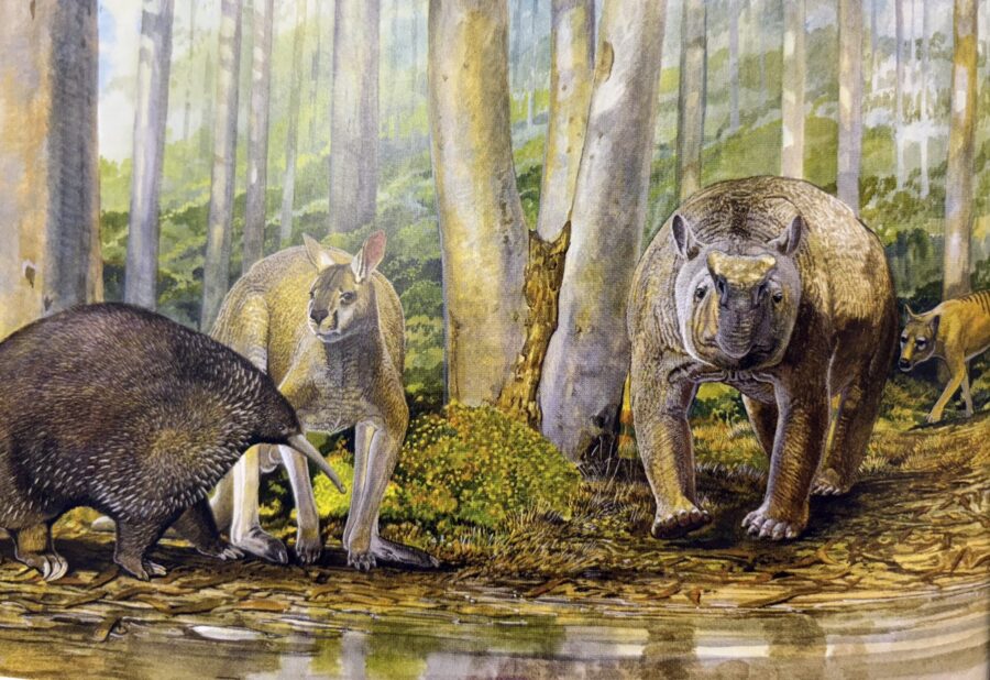 Mammoth Cave megafauna