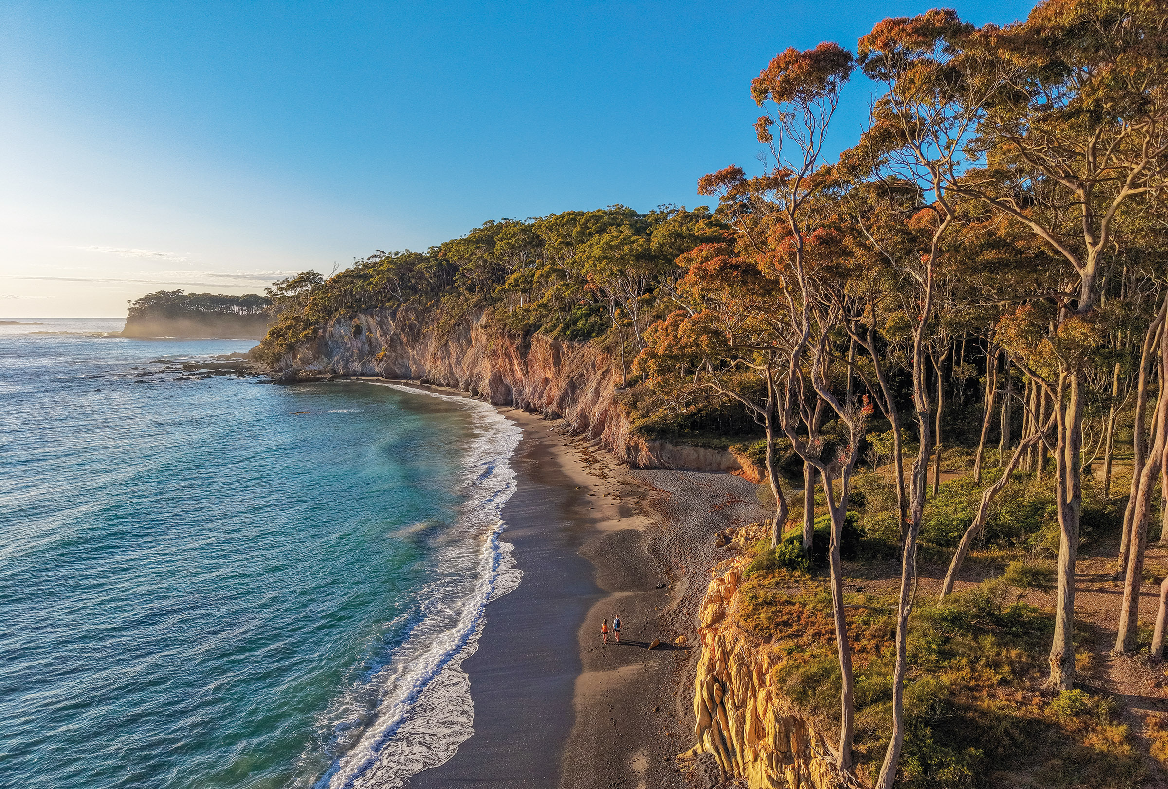 Image for article: From oysters to eagles: Hiking the Munjip Trail, NSW