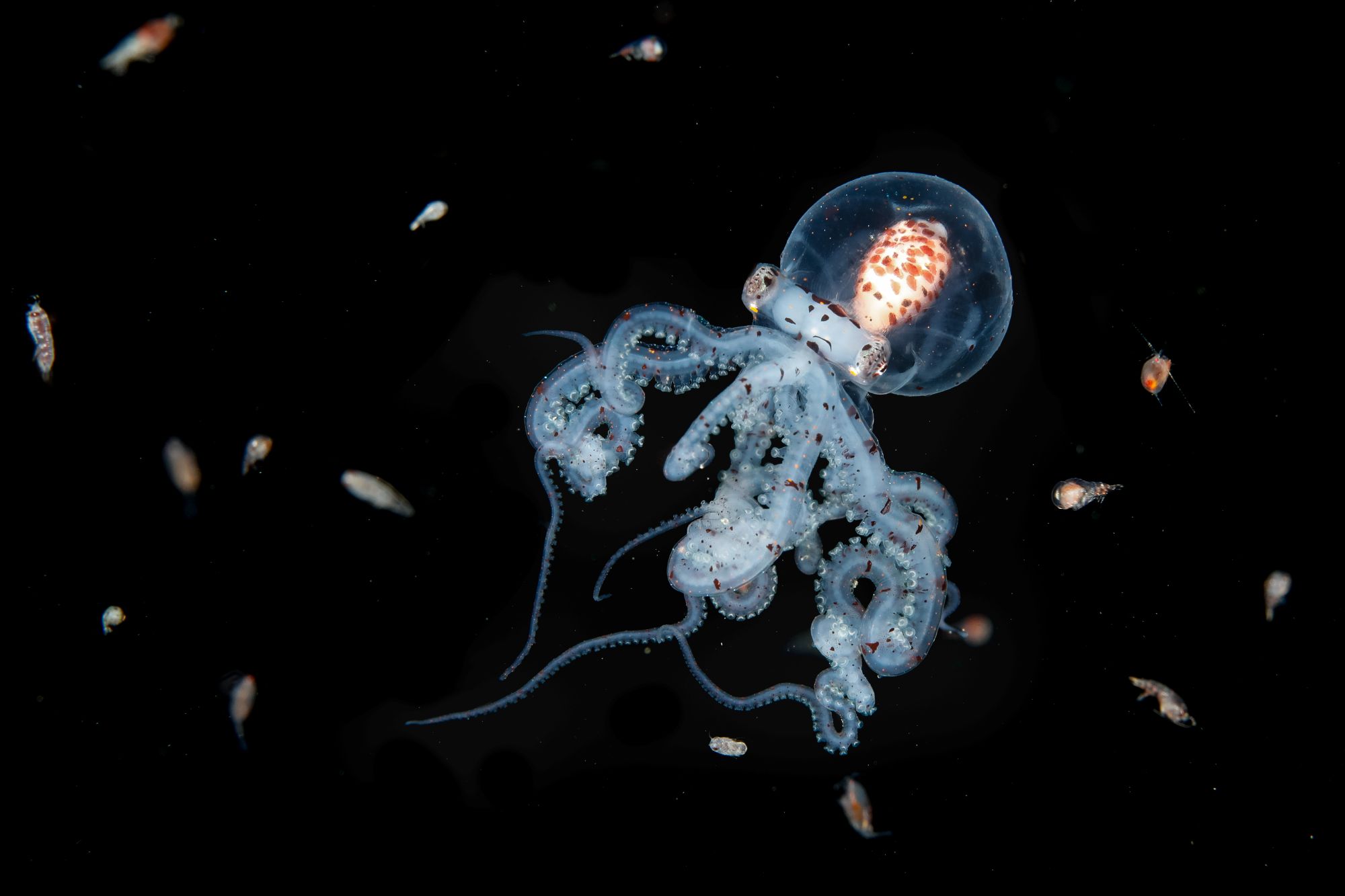 Image for article: Look beneath the surface